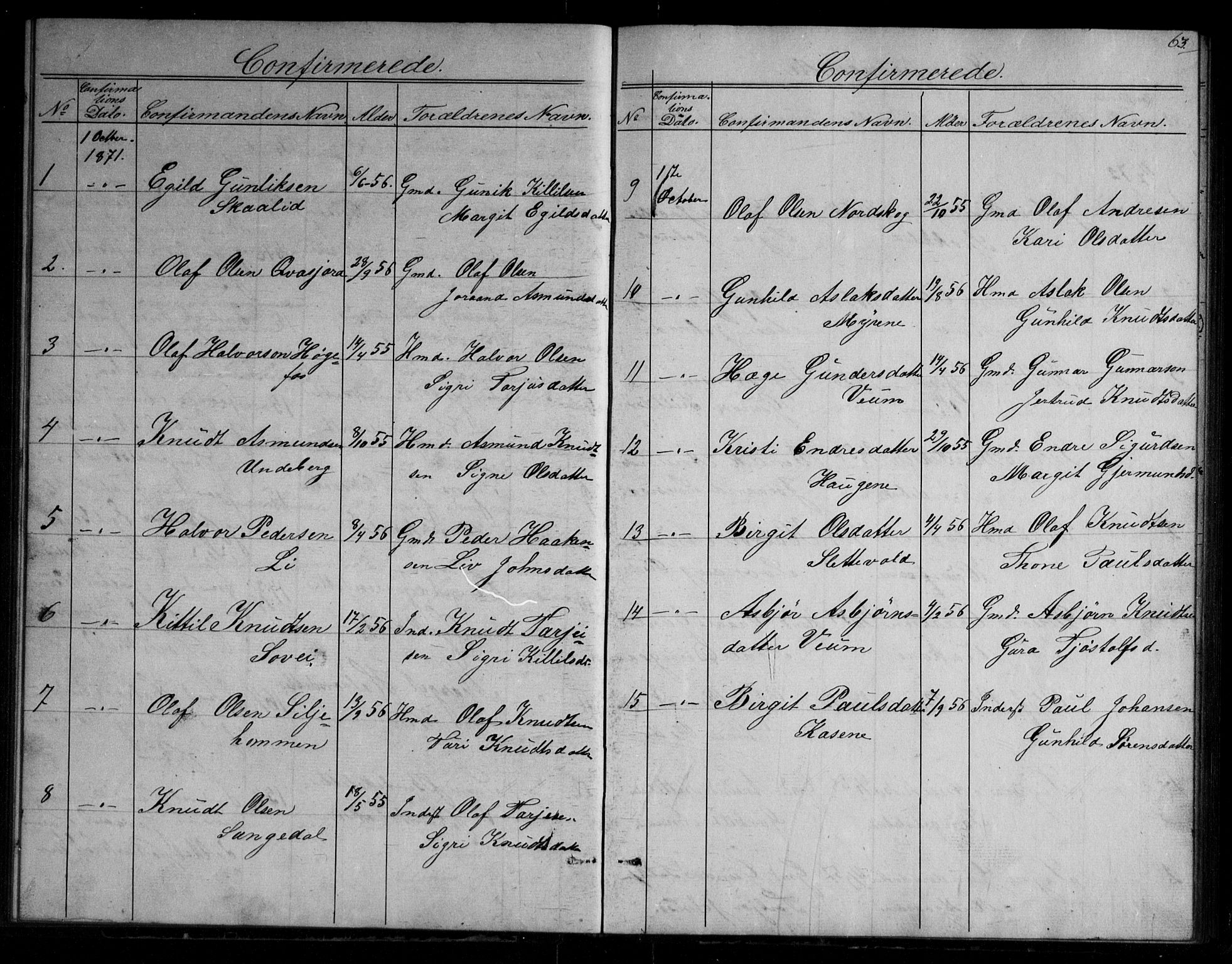 Fyresdal kirkebøker, SAKO/A-263/G/Gb/L0001: Parish register (copy) no. II 1, 1864-1890, p. 63