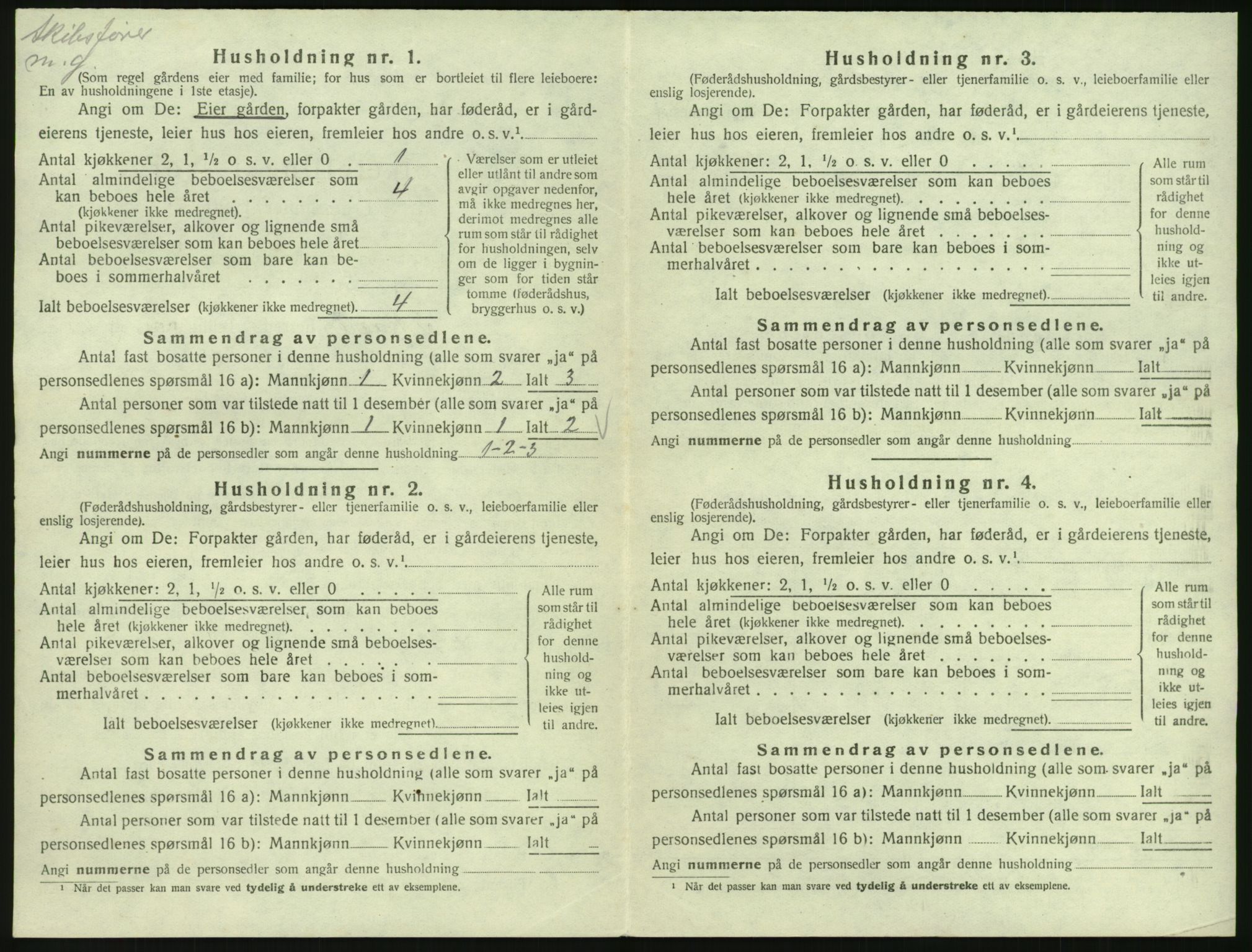 SAKO, 1920 census for Skåtøy, 1920, p. 1715