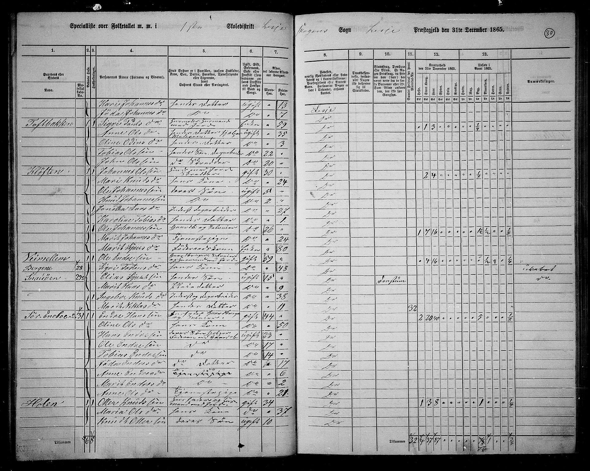 RA, 1865 census for Lesja, 1865, p. 31