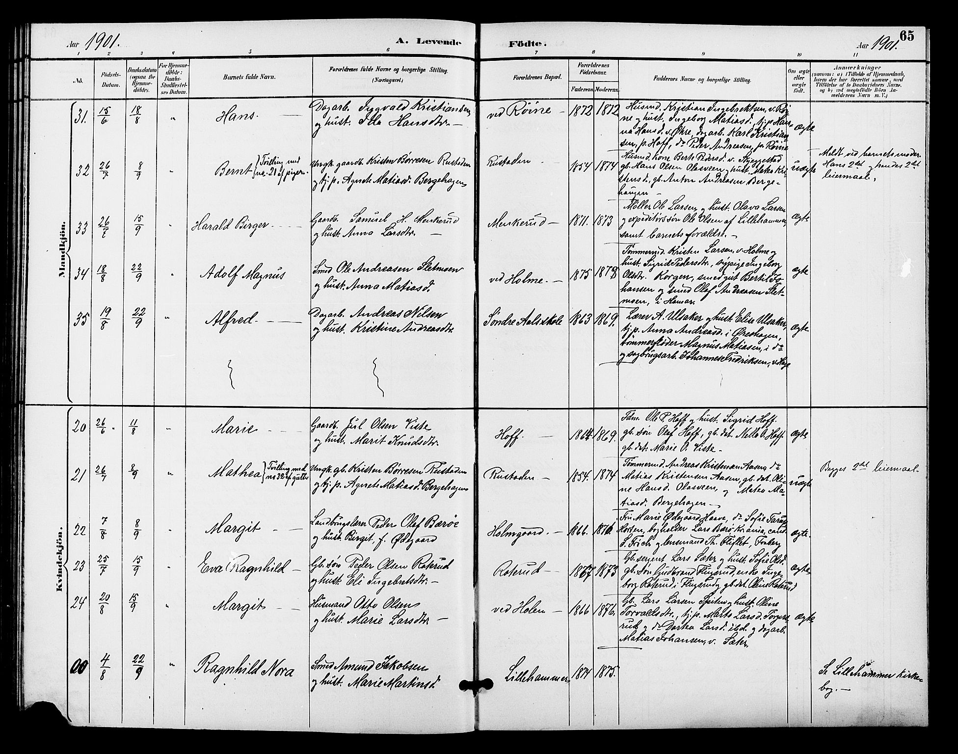 Fåberg prestekontor, AV/SAH-PREST-086/H/Ha/Hab/L0009: Parish register (copy) no. 9, 1891-1902, p. 65