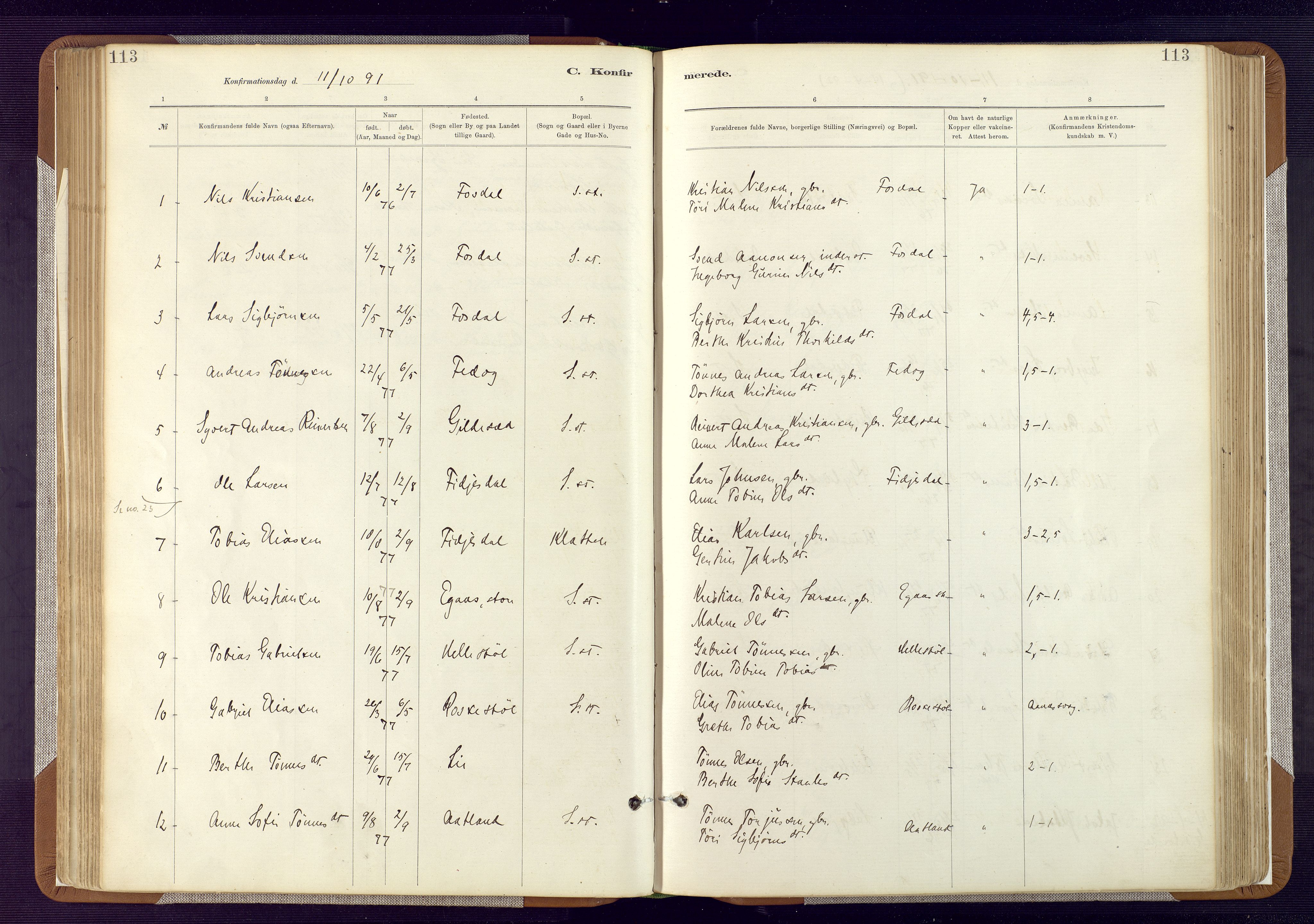 Bakke sokneprestkontor, SAK/1111-0002/F/Fa/Fab/L0003: Parish register (official) no. A 3, 1884-1921, p. 113
