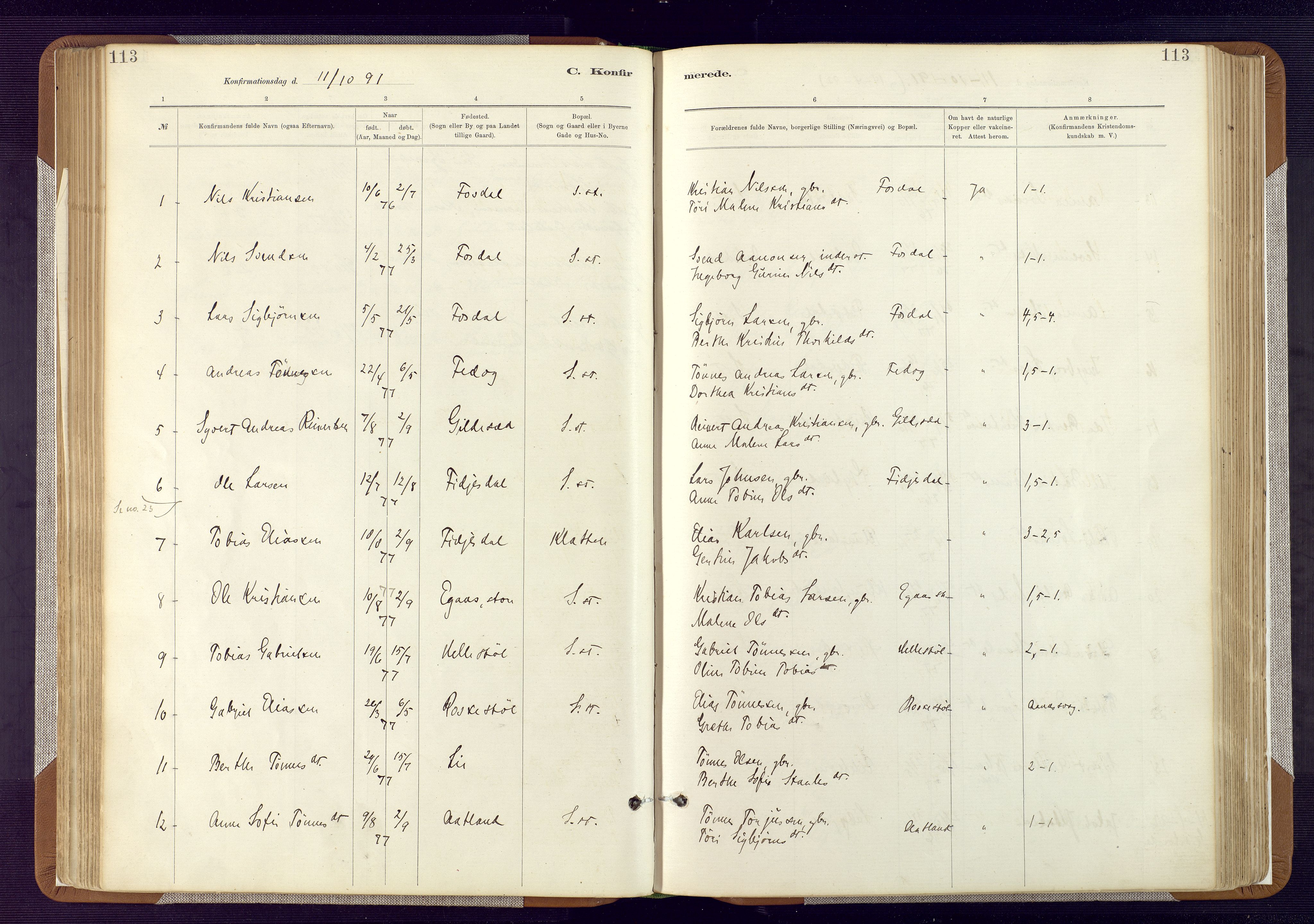 Bakke sokneprestkontor, AV/SAK-1111-0002/F/Fa/Fab/L0003: Parish register (official) no. A 3, 1884-1921, p. 113