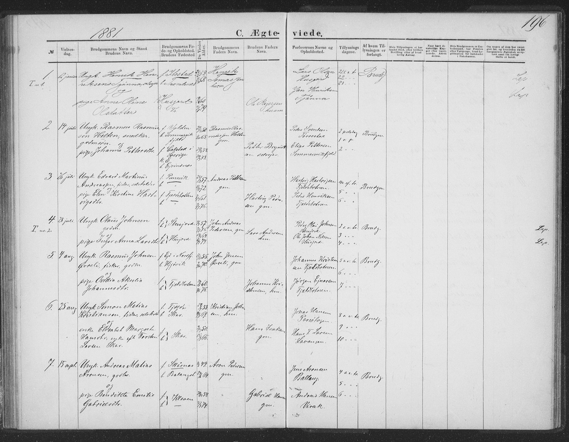 Ministerialprotokoller, klokkerbøker og fødselsregistre - Nordland, SAT/A-1459/863/L0913: Parish register (copy) no. 863C03, 1877-1885, p. 196