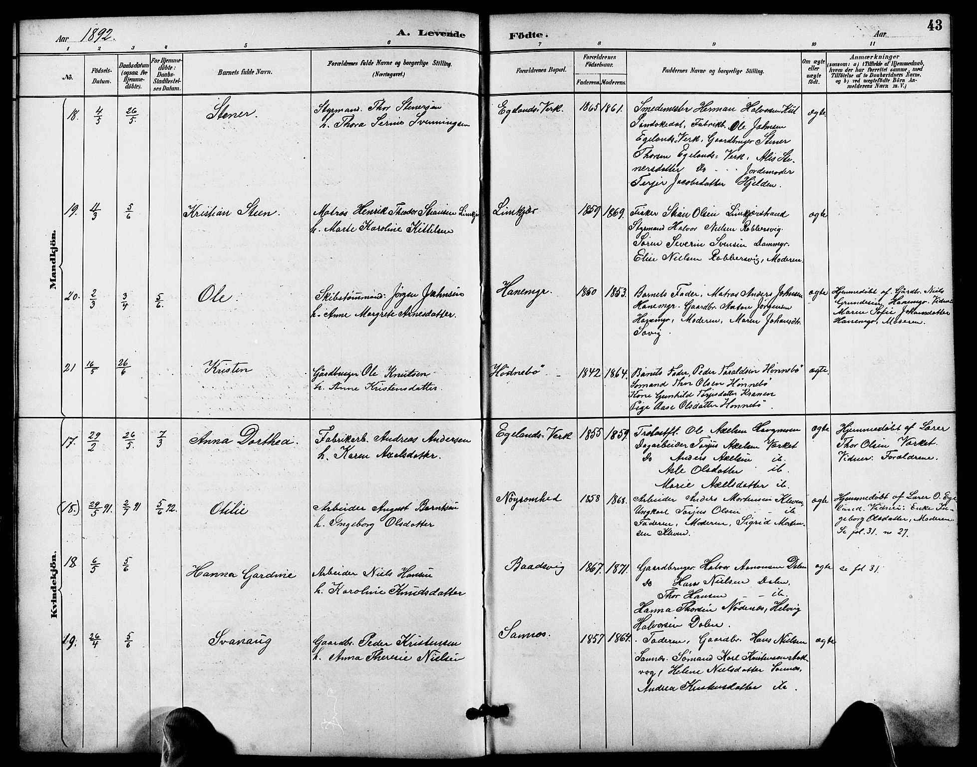 Søndeled sokneprestkontor, AV/SAK-1111-0038/F/Fa/L0005: Parish register (official) no. A 5, 1889-1899, p. 43