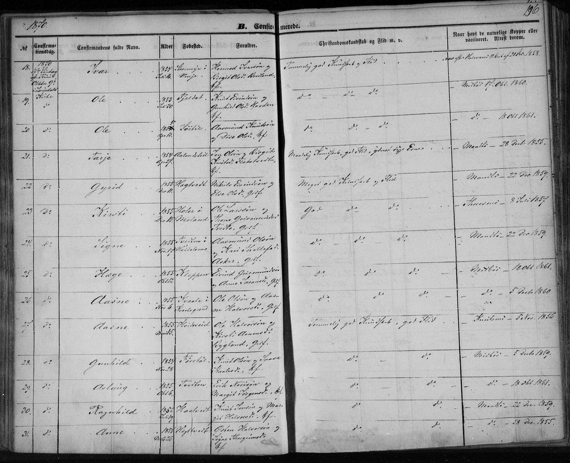Lårdal kirkebøker, SAKO/A-284/F/Fa/L0006: Parish register (official) no. I 6, 1861-1886, p. 196
