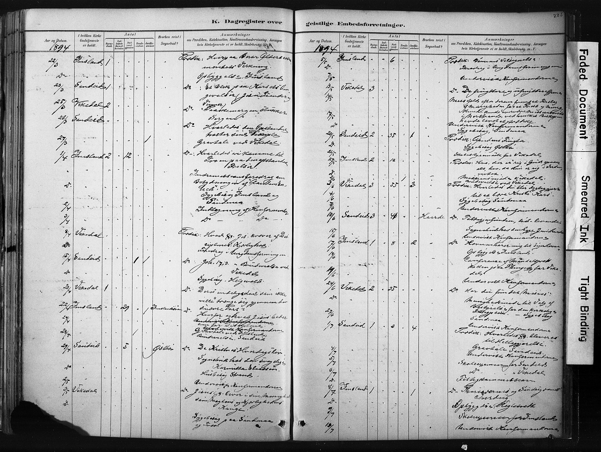 Vikedal sokneprestkontor, AV/SAST-A-101840/01/IV: Parish register (official) no. A 10, 1884-1907, p. 223