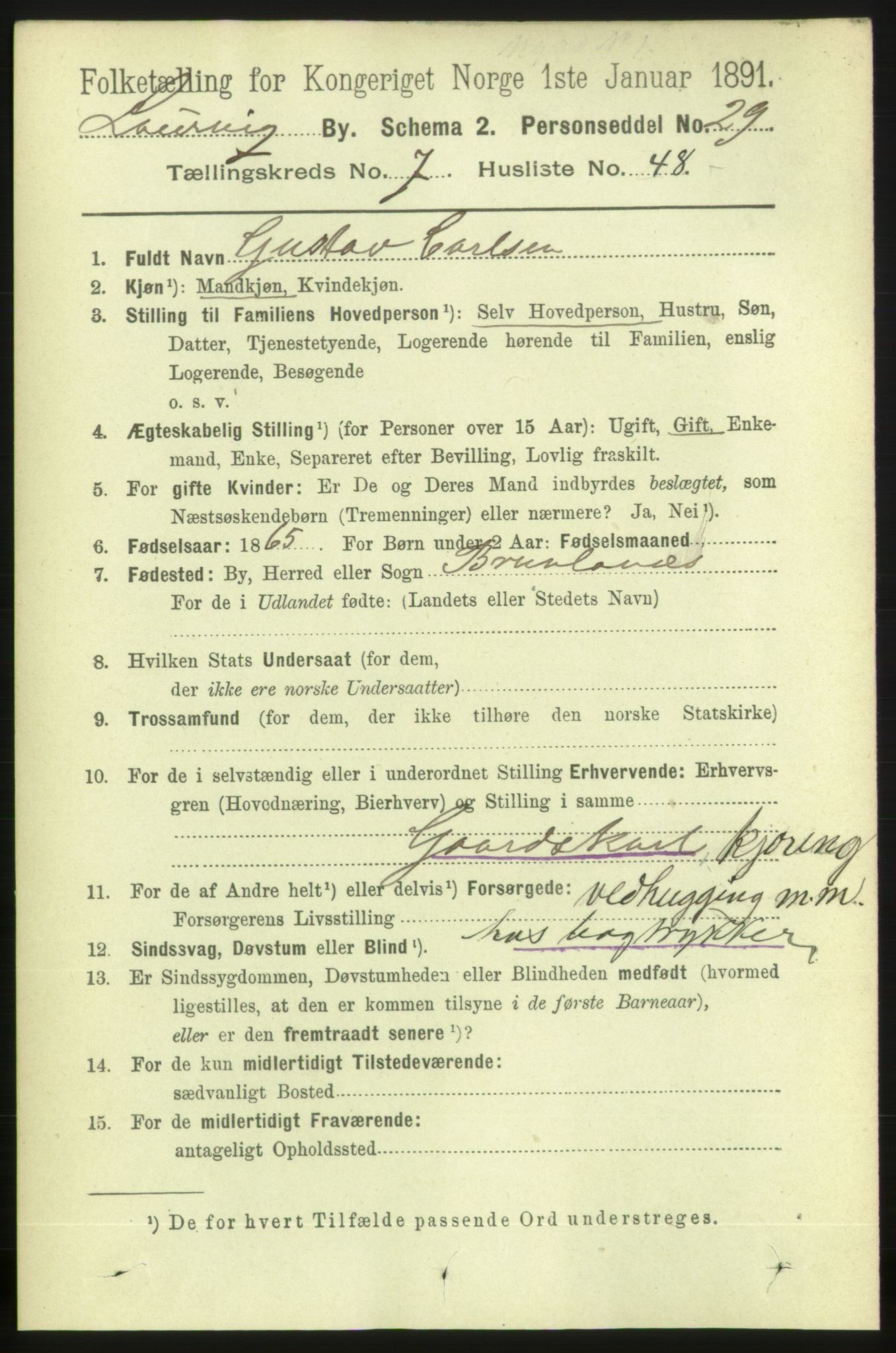 RA, 1891 census for 0707 Larvik, 1891, p. 7804