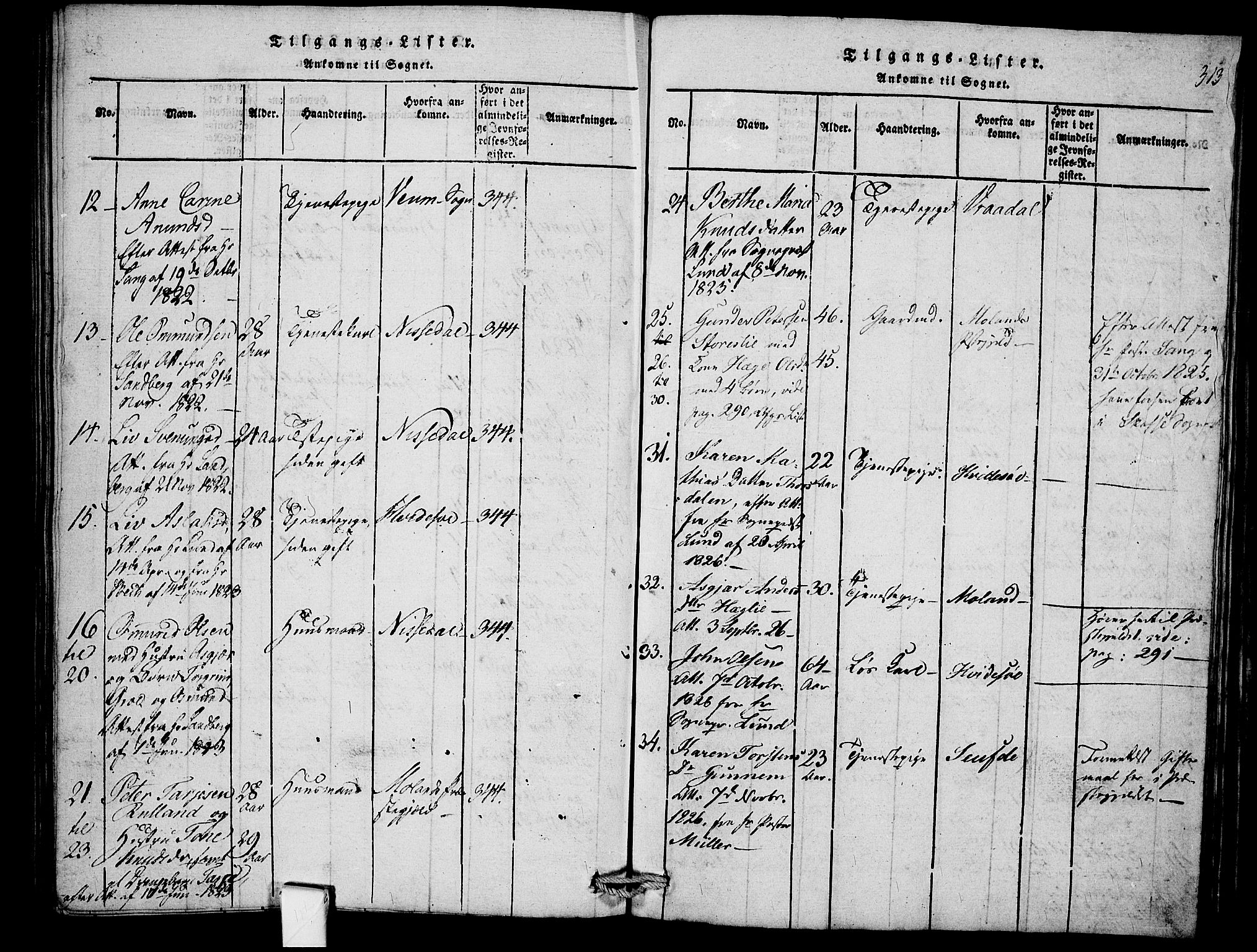 Mo kirkebøker, SAKO/A-286/F/Fb/L0001: Parish register (official) no. II 1, 1814-1844, p. 313