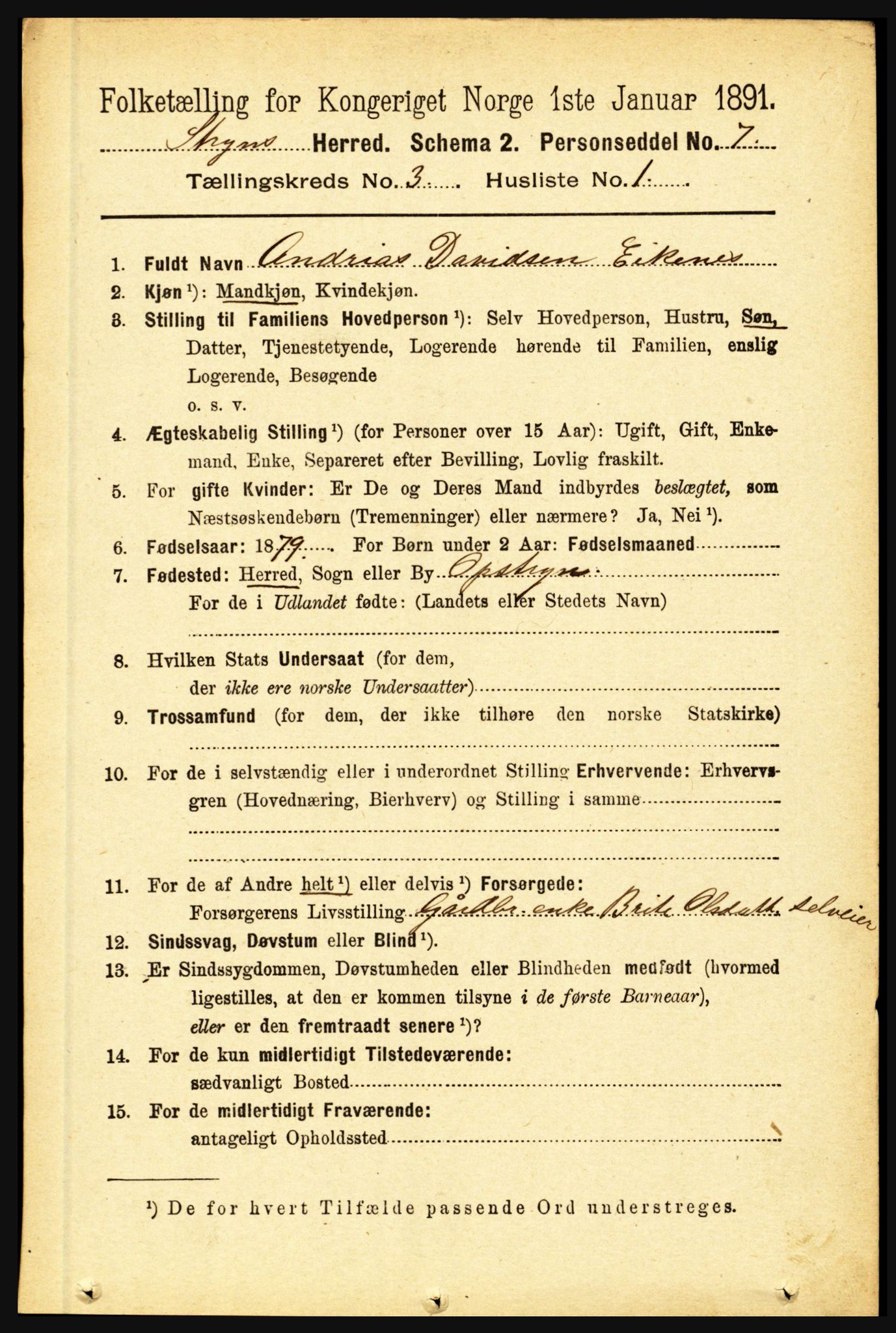 RA, 1891 census for 1448 Stryn, 1891, p. 1102