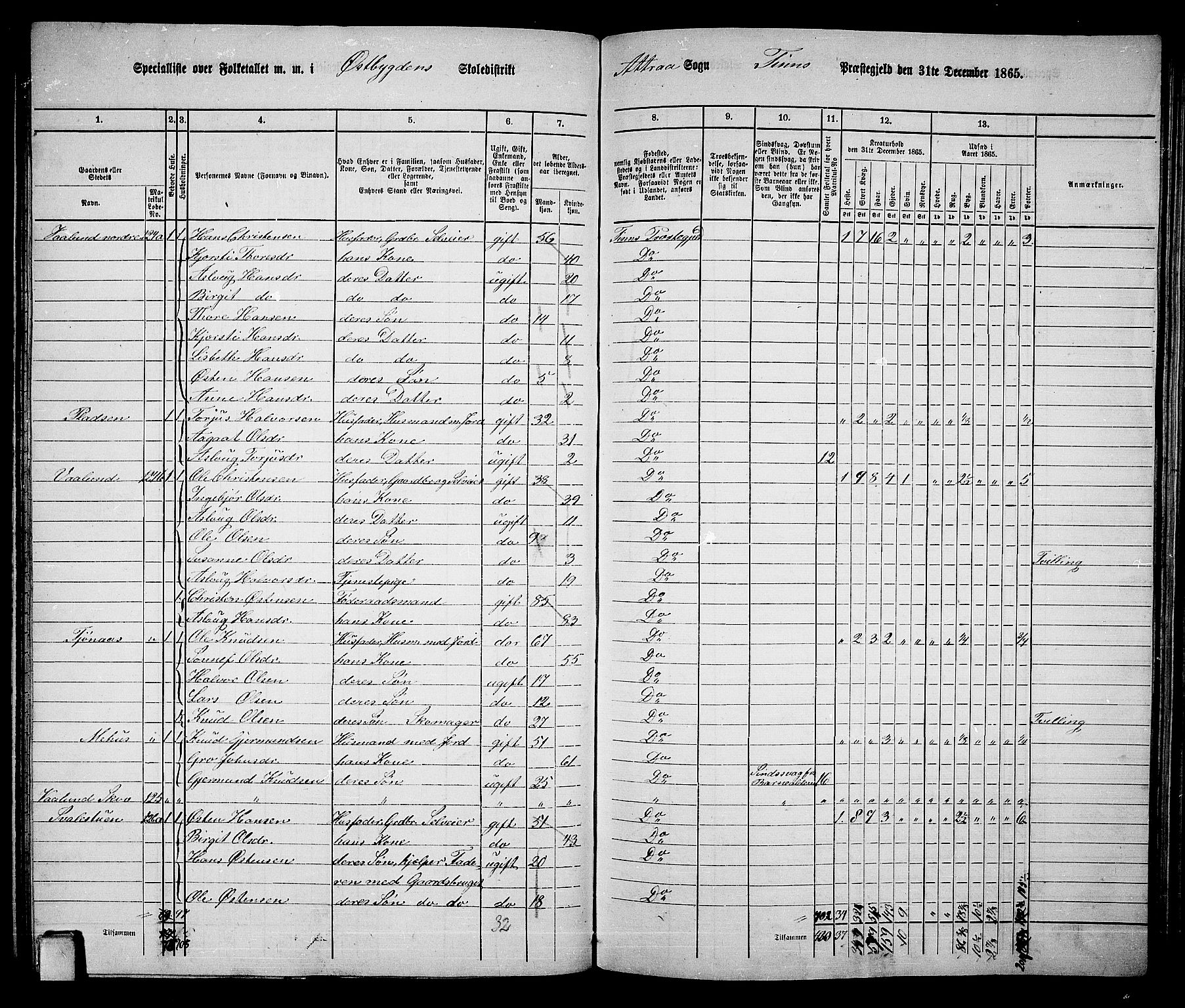 RA, 1865 census for Tinn, 1865, p. 24