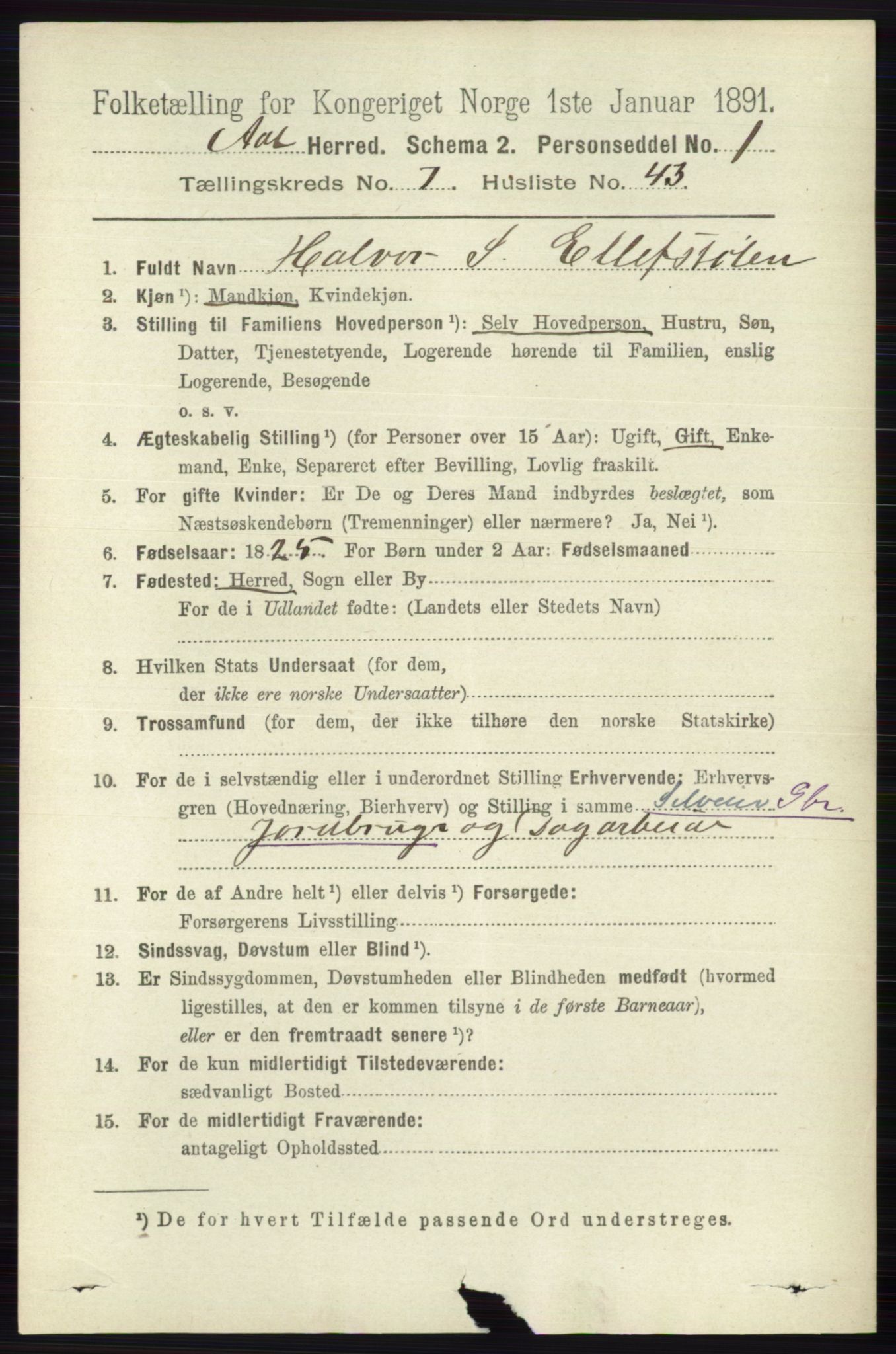 RA, 1891 census for 0619 Ål, 1891, p. 2025