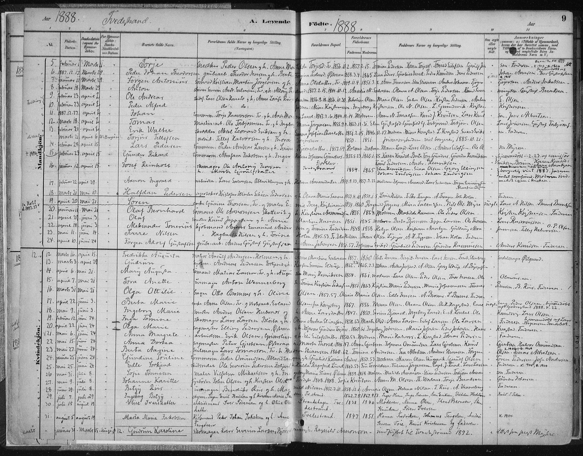 Tvedestrand sokneprestkontor, AV/SAK-1111-0042/F/Fa/L0001: Parish register (official) no. A 1, 1885-1916, p. 9