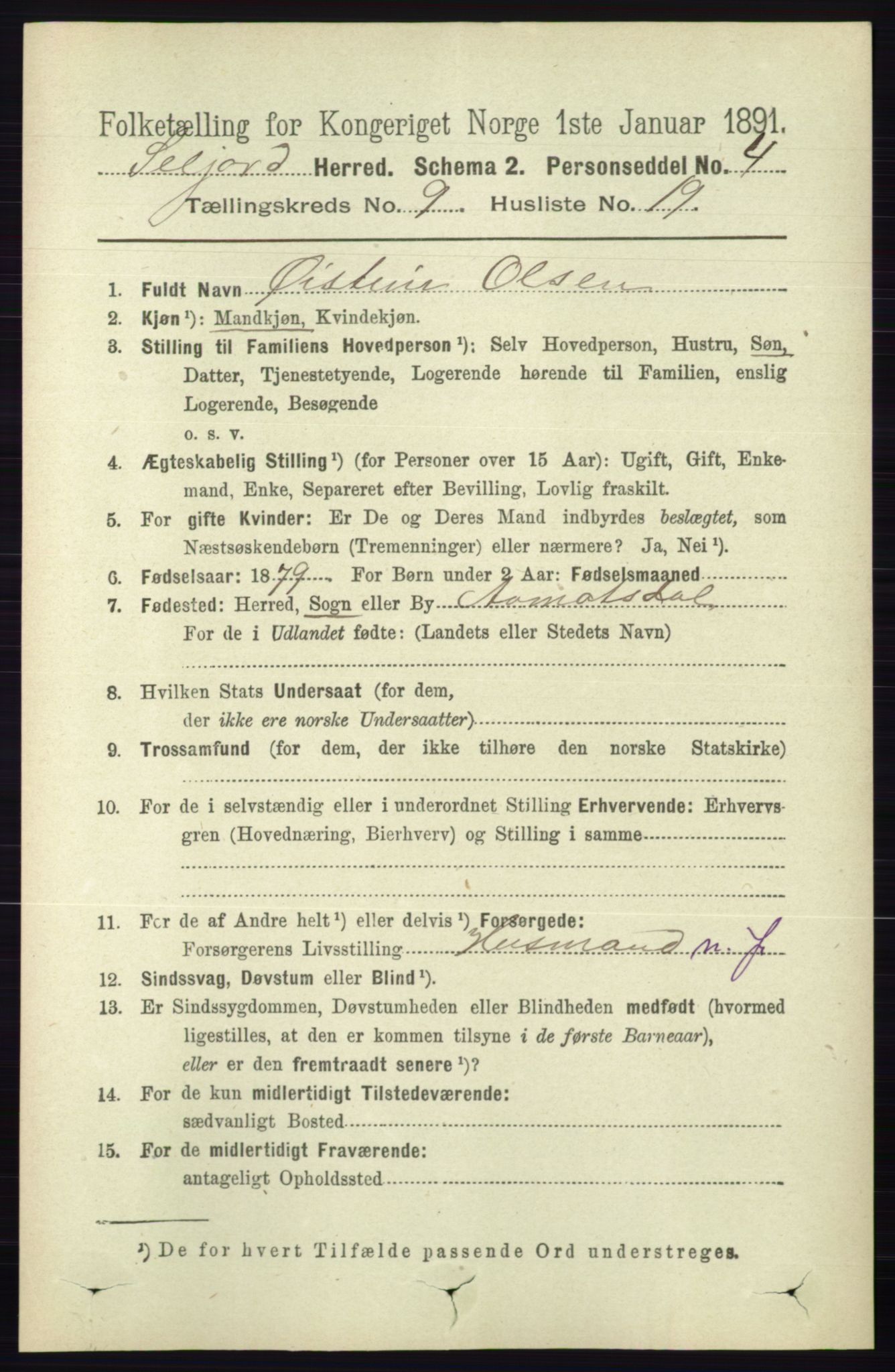 RA, 1891 census for 0828 Seljord, 1891, p. 3268
