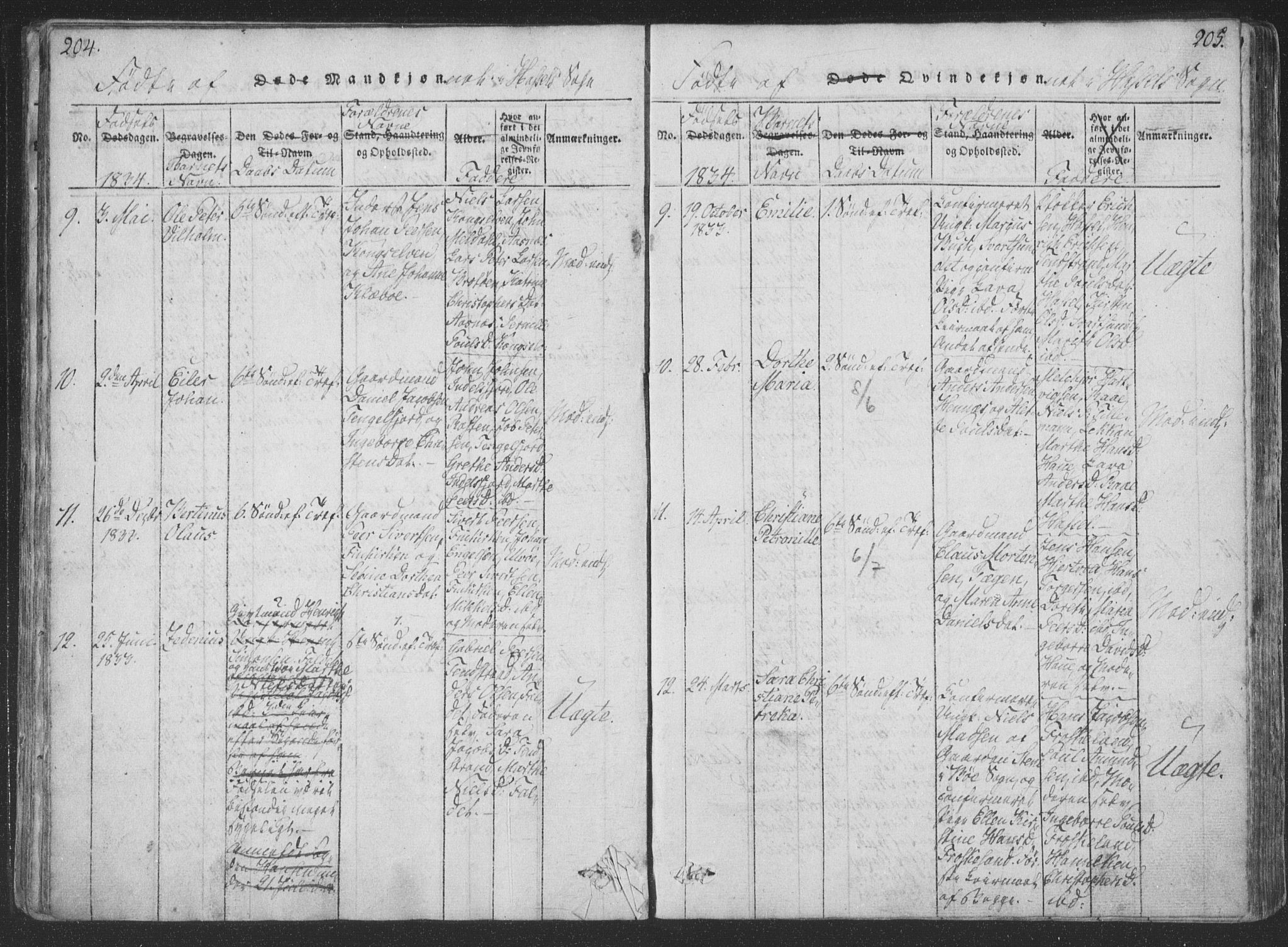 Ministerialprotokoller, klokkerbøker og fødselsregistre - Nordland, SAT/A-1459/888/L1262: Parish register (copy) no. 888C01, 1820-1836, p. 204-205