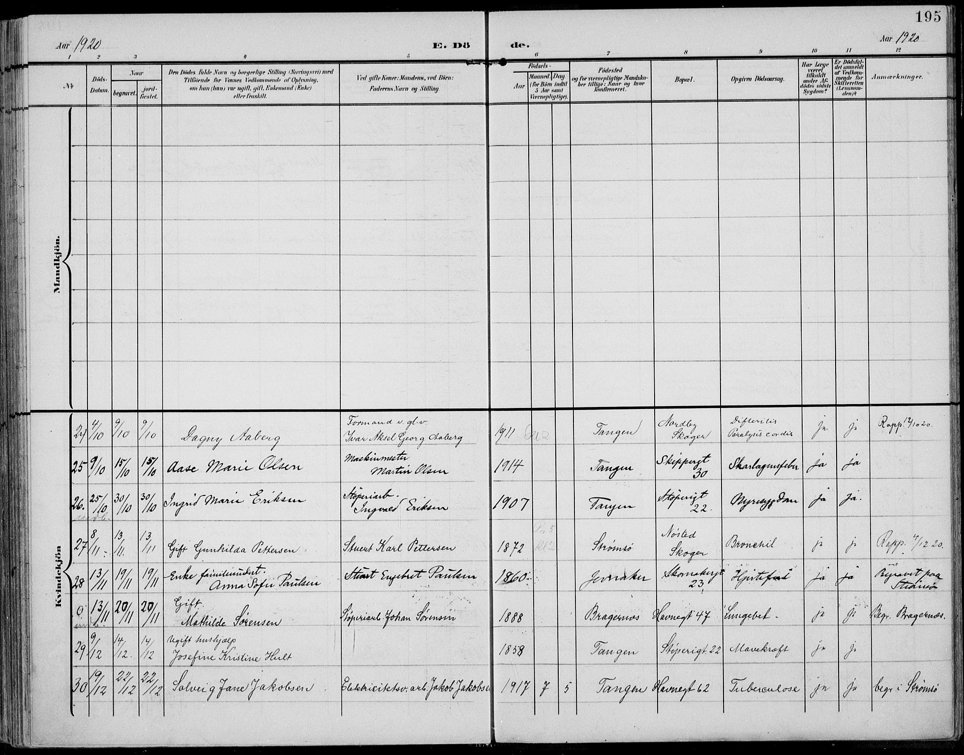 Strømsø kirkebøker, AV/SAKO-A-246/F/Fb/L0008: Parish register (official) no. II 8, 1902-1933, p. 195