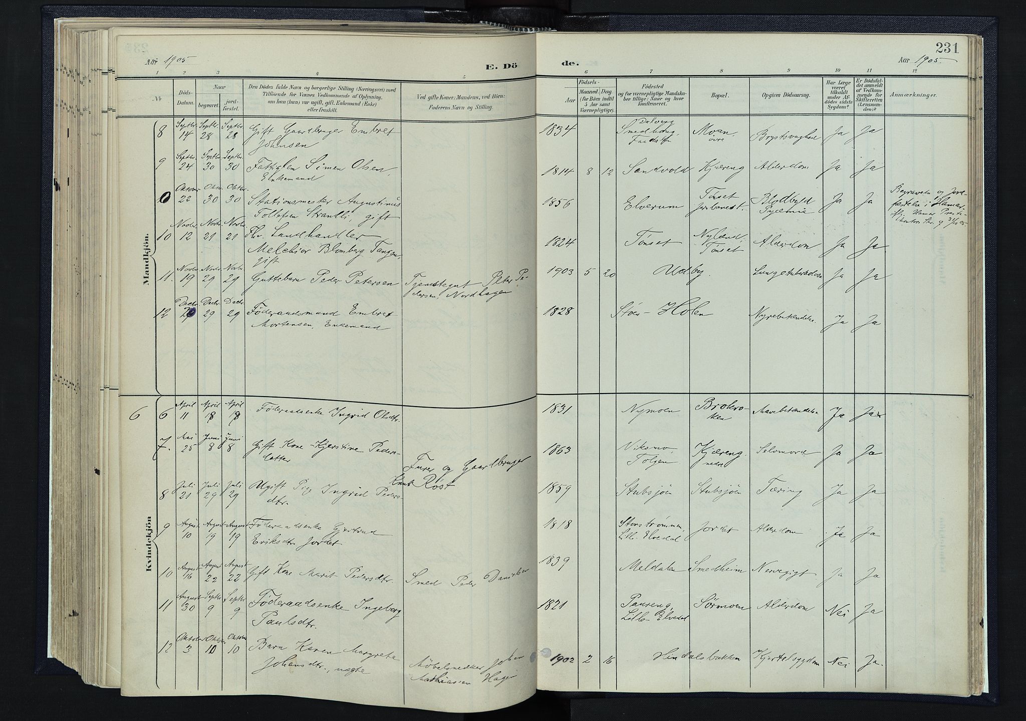 Tynset prestekontor, SAH/PREST-058/H/Ha/Haa/L0025: Parish register (official) no. 25, 1900-1914, p. 231