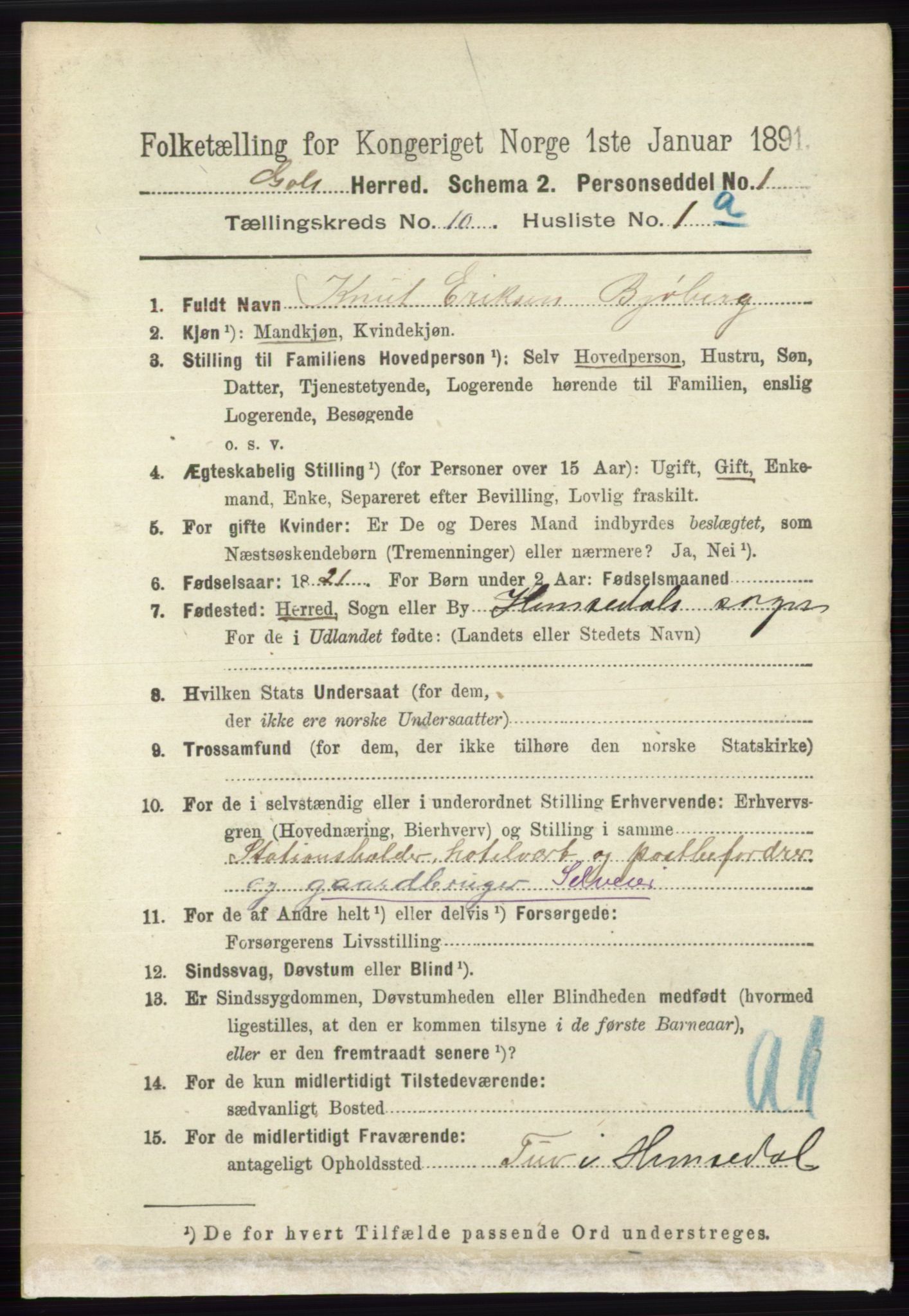 RA, 1891 census for 0617 Gol og Hemsedal, 1891, p. 4029