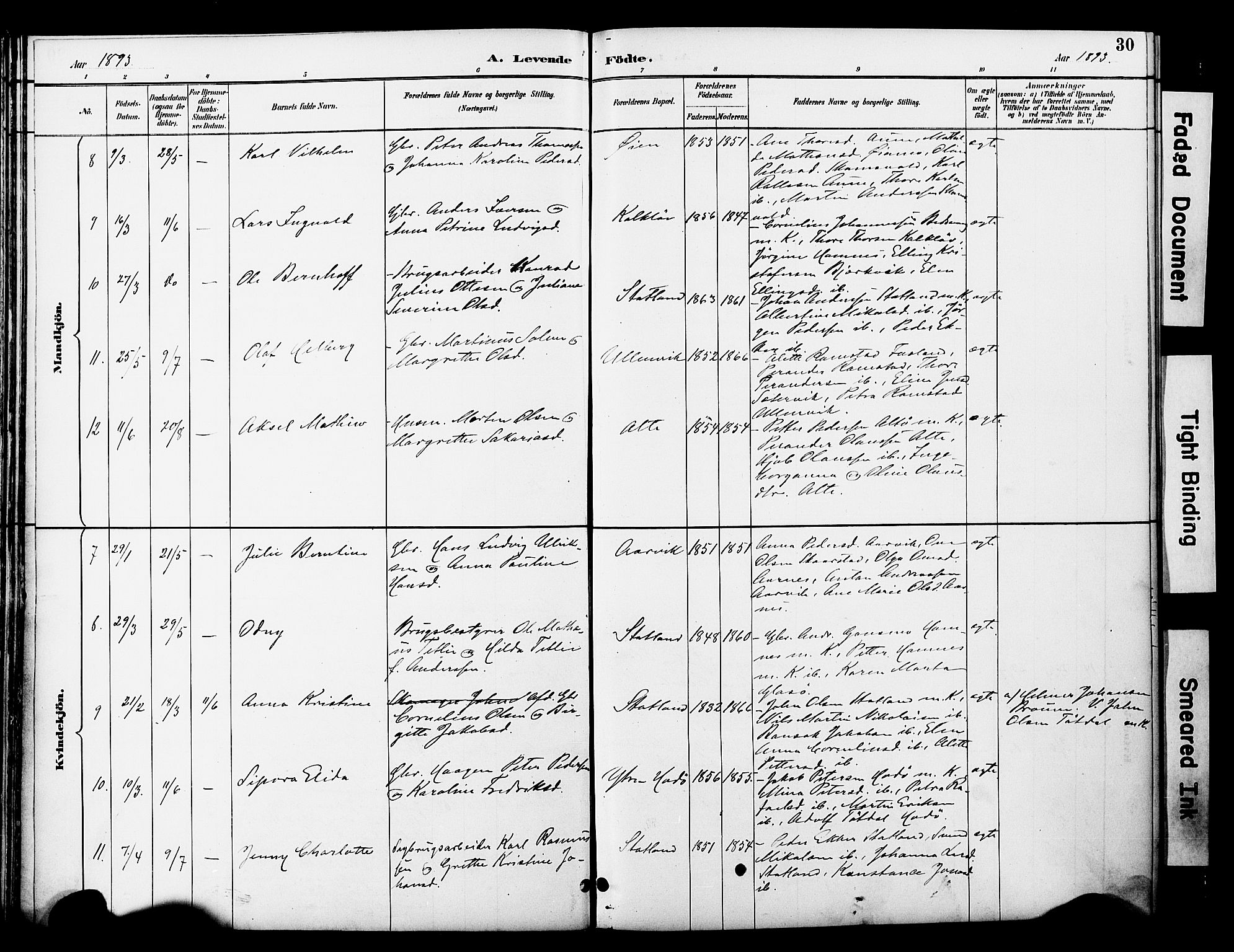 Ministerialprotokoller, klokkerbøker og fødselsregistre - Nord-Trøndelag, SAT/A-1458/774/L0628: Parish register (official) no. 774A02, 1887-1903, p. 30