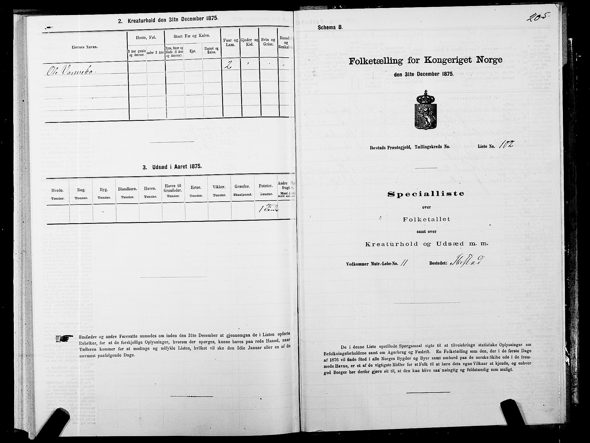 SATØ, 1875 census for 1917P Ibestad, 1875, p. 6205