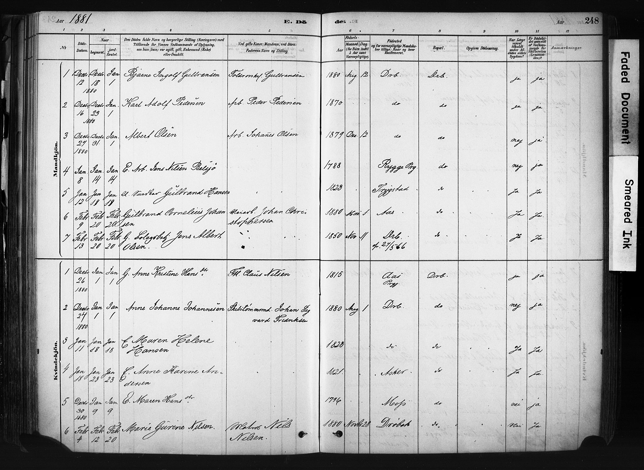 Drøbak prestekontor Kirkebøker, AV/SAO-A-10142a/F/Fb/L0001: Parish register (official) no. II 1, 1878-1891, p. 248