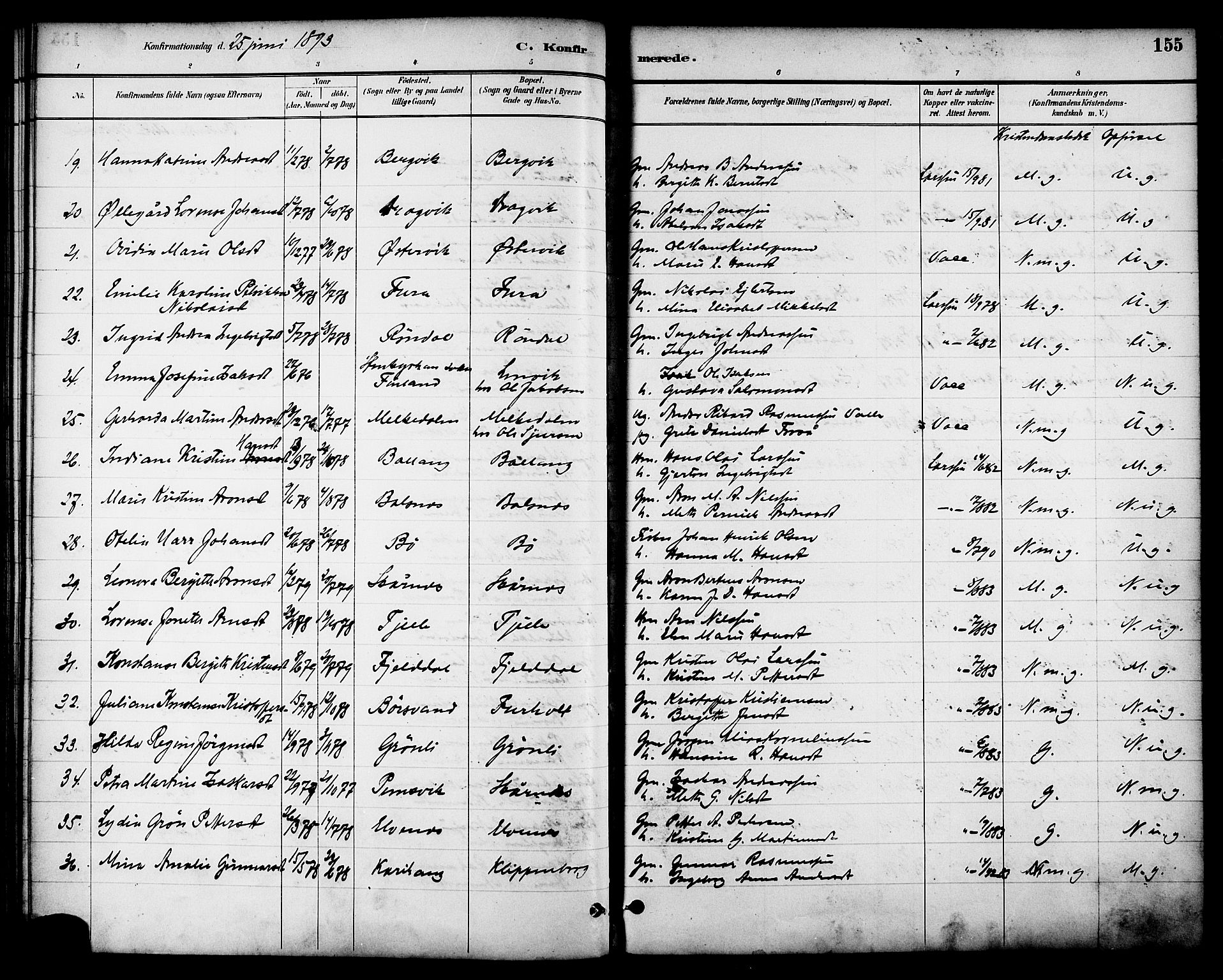 Ministerialprotokoller, klokkerbøker og fødselsregistre - Nordland, AV/SAT-A-1459/863/L0898: Parish register (official) no. 863A10, 1886-1897, p. 155