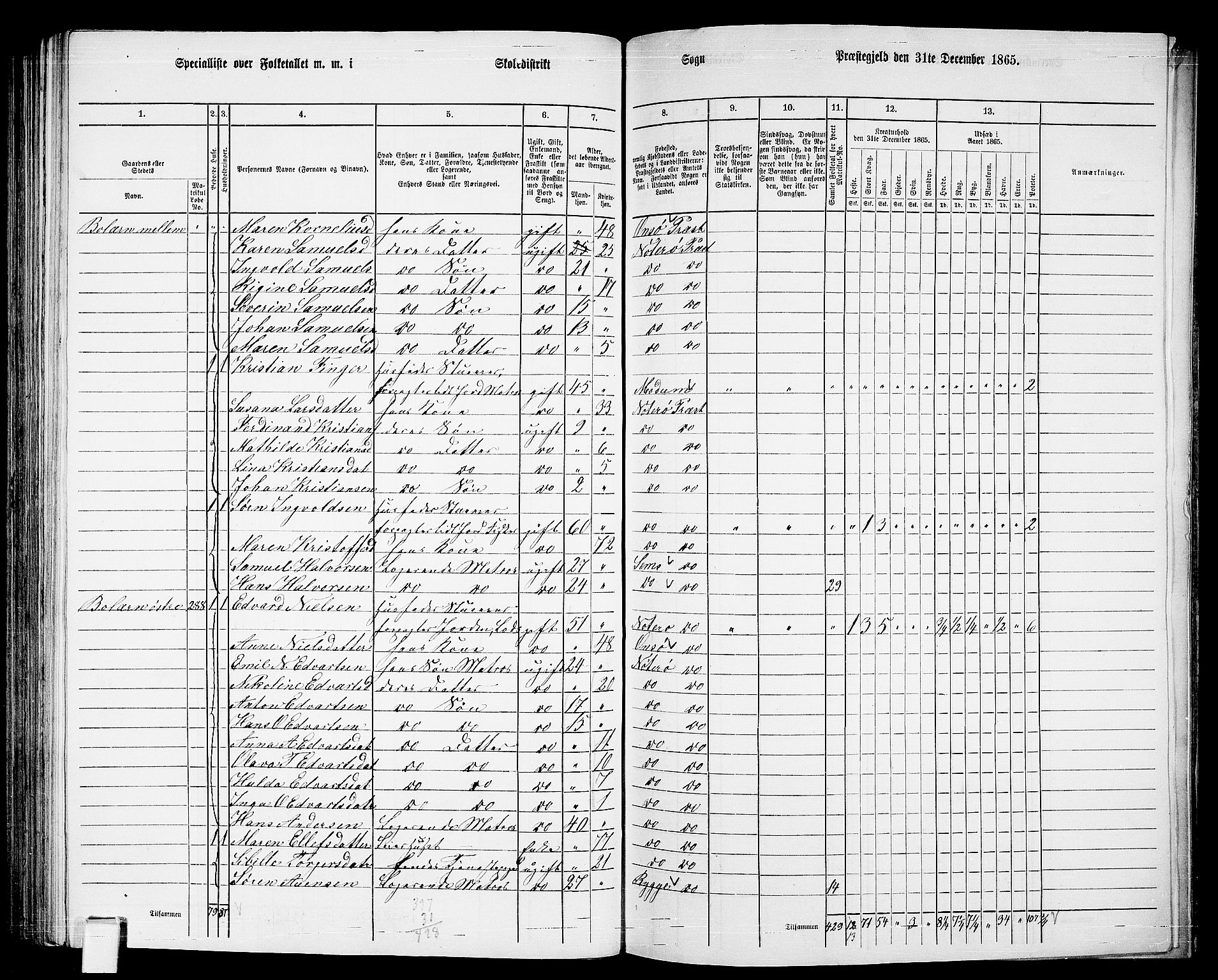 RA, 1865 census for Nøtterøy, 1865, p. 197