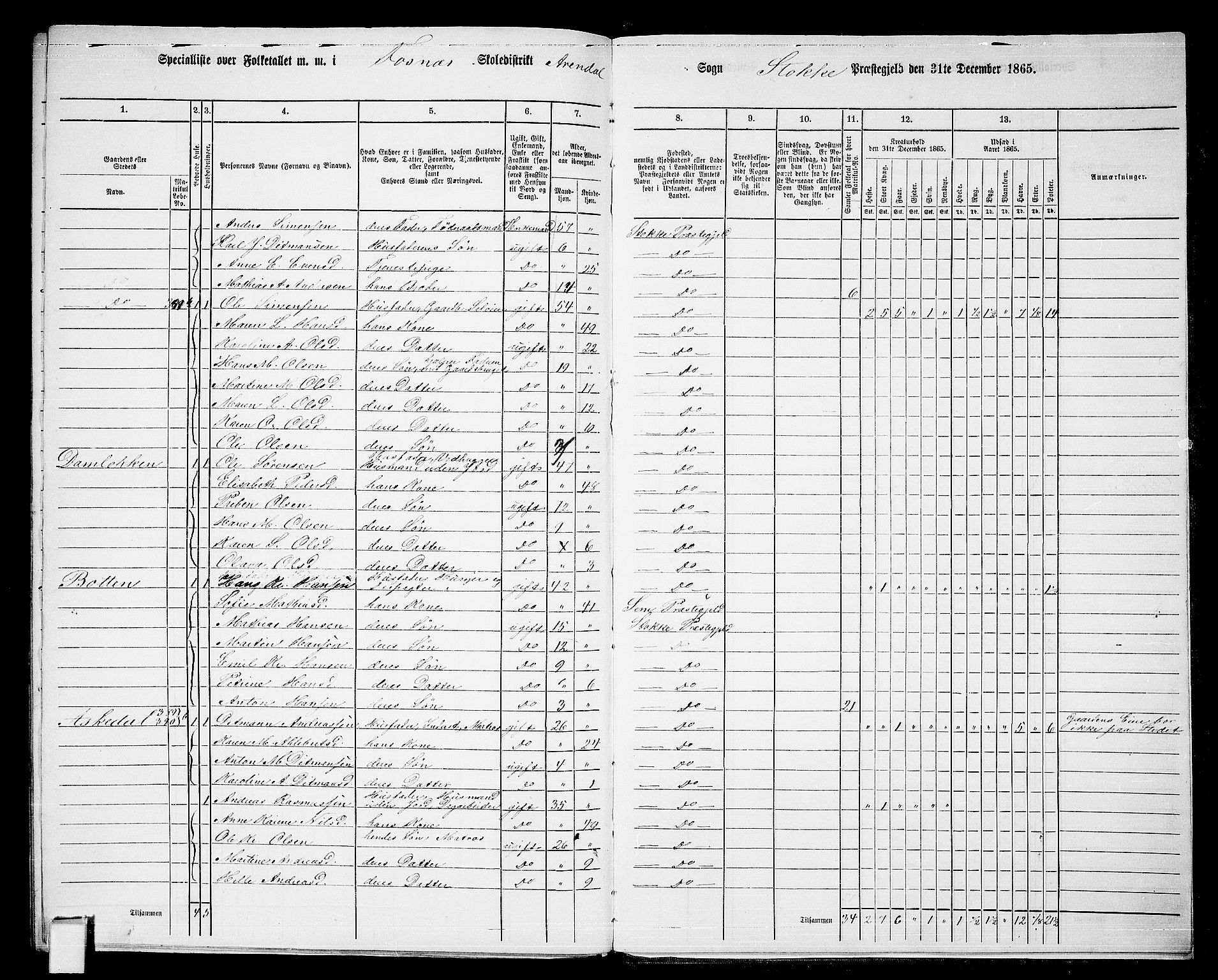 RA, 1865 census for Stokke, 1865, p. 192