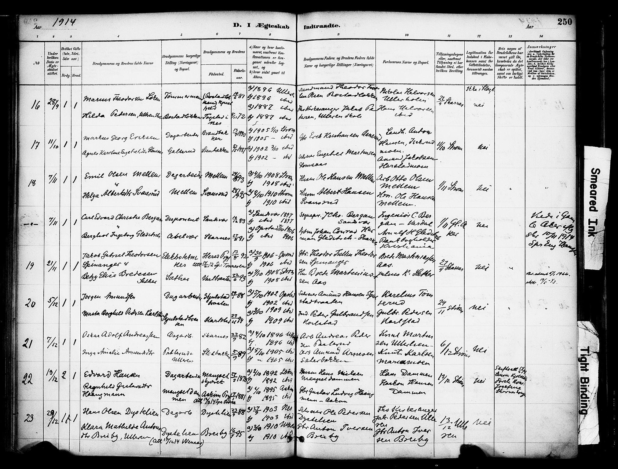 Sør-Odal prestekontor, SAH/PREST-030/H/Ha/Haa/L0007: Parish register (official) no. 7, 1886-1925, p. 250