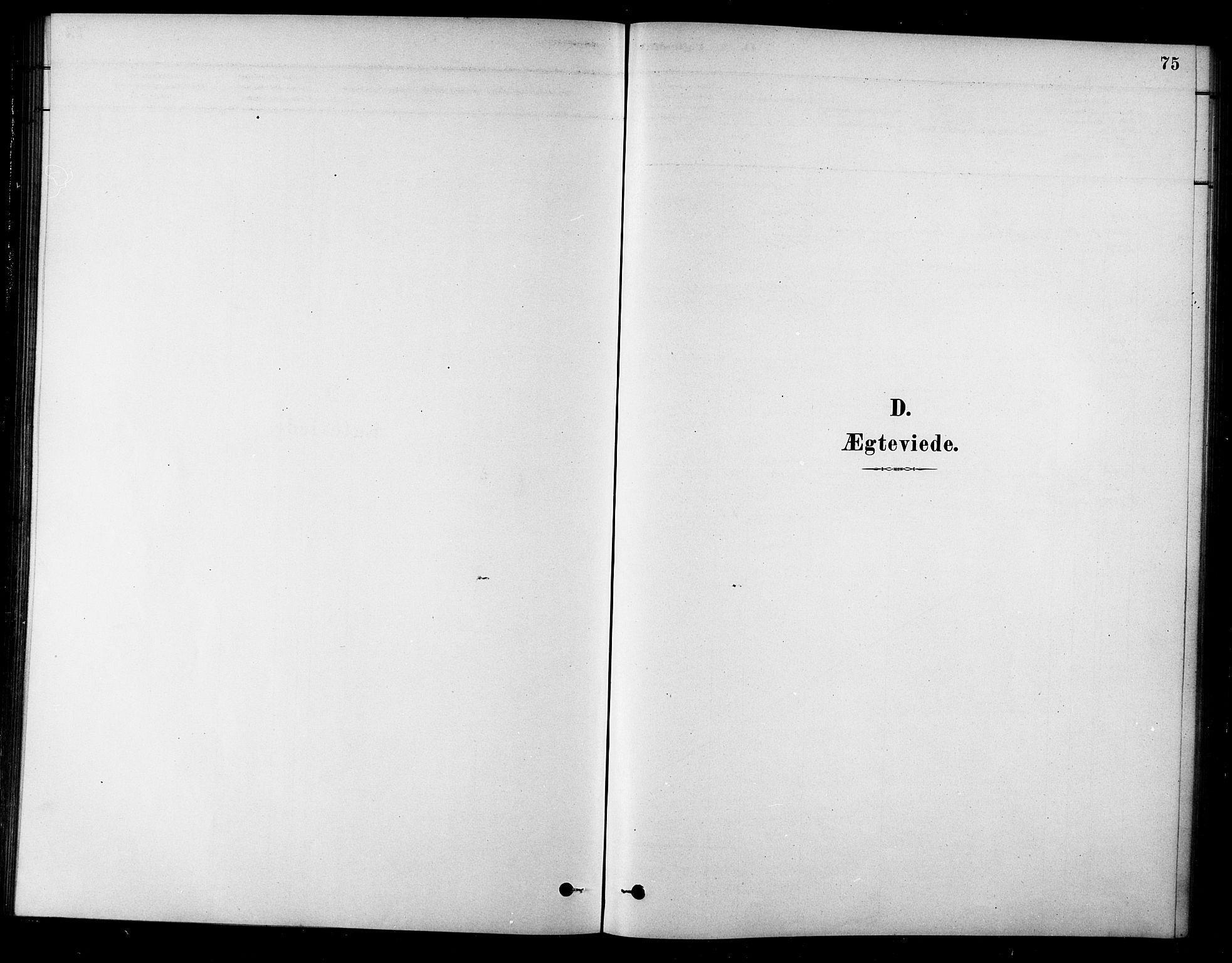 Ministerialprotokoller, klokkerbøker og fødselsregistre - Sør-Trøndelag, SAT/A-1456/685/L0972: Parish register (official) no. 685A09, 1879-1890, p. 75