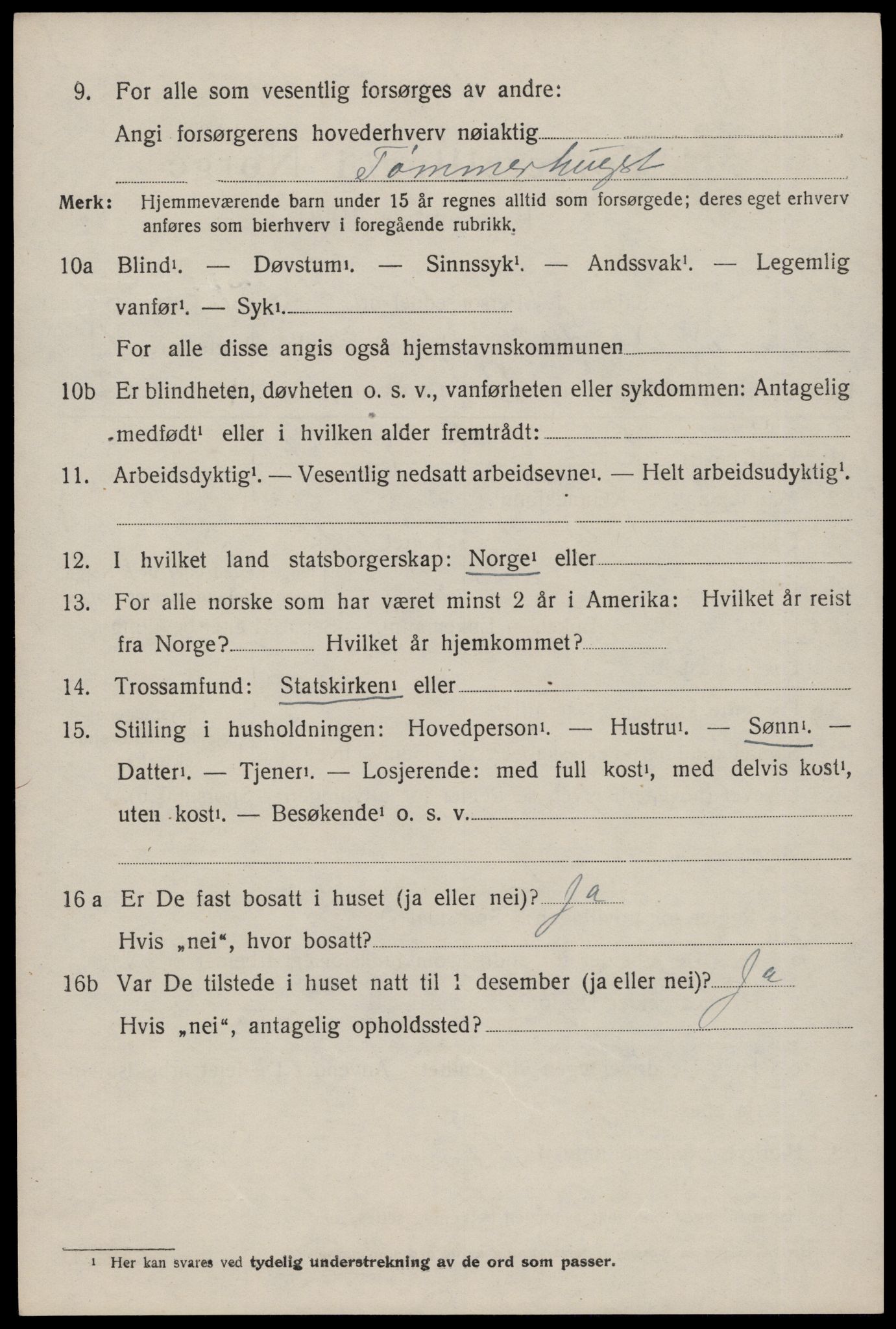 SAKO, 1920 census for Nissedal, 1920, p. 1258