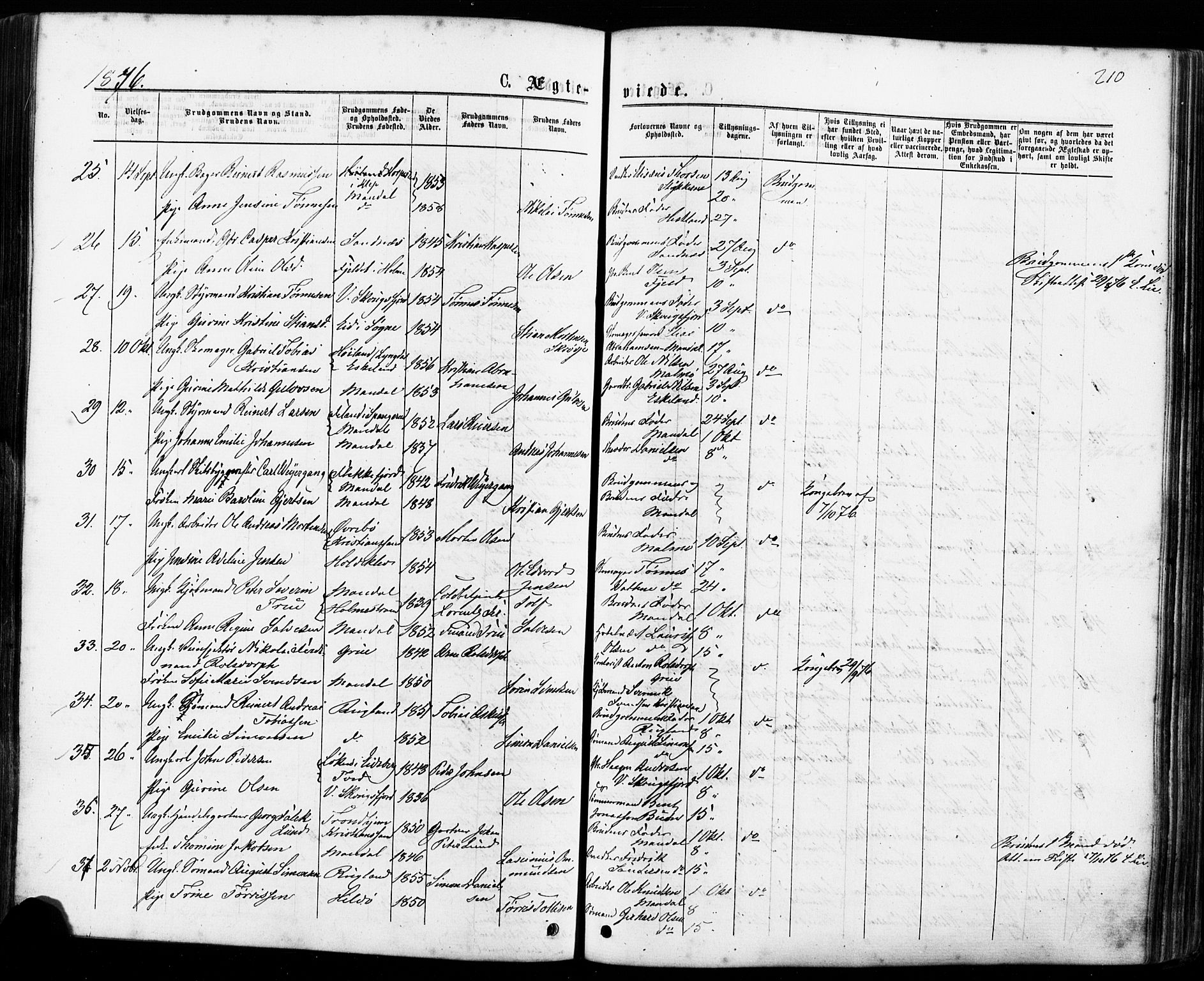 Mandal sokneprestkontor, AV/SAK-1111-0030/F/Fa/Faa/L0015: Parish register (official) no. A 15, 1873-1879, p. 210