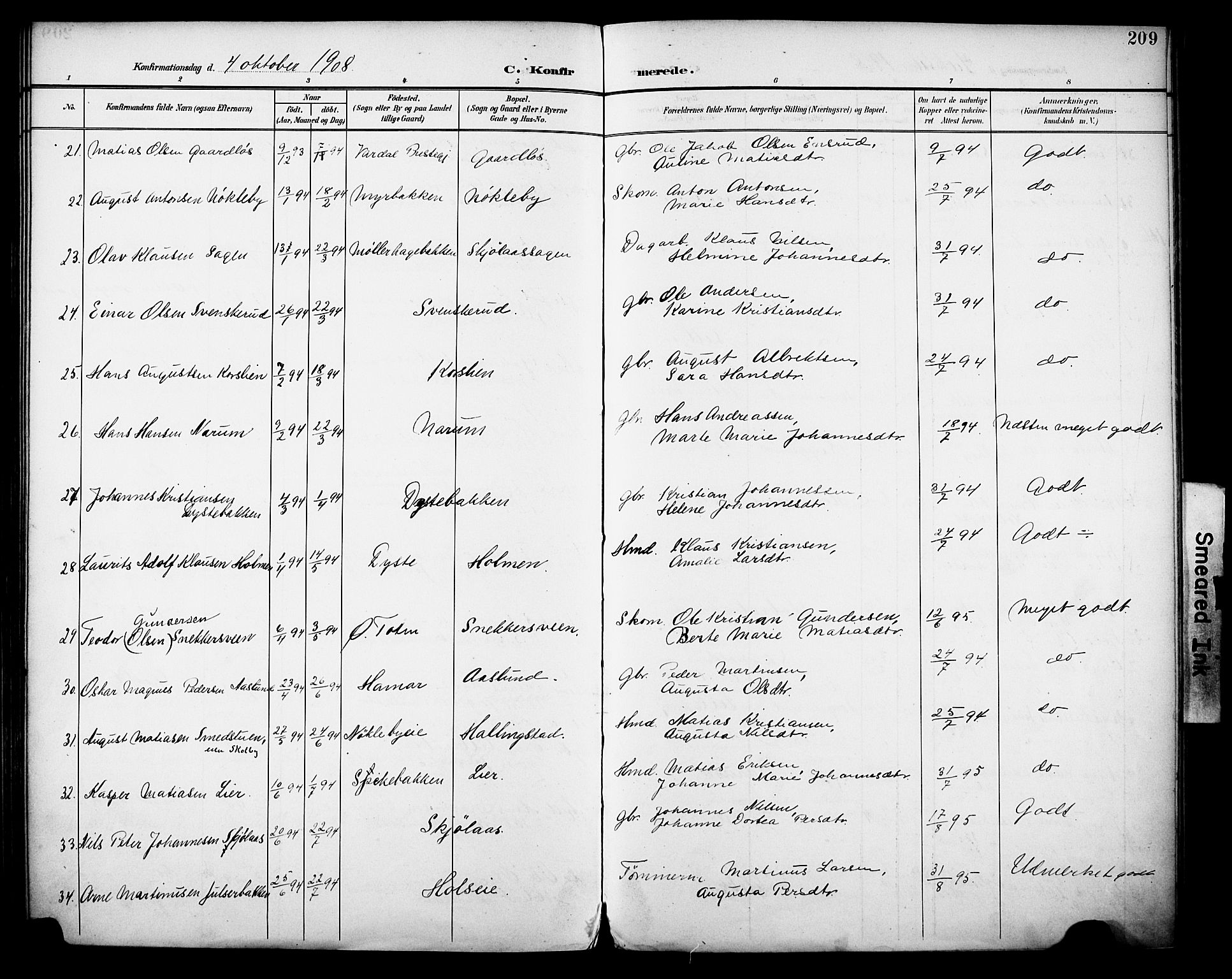Vestre Toten prestekontor, AV/SAH-PREST-108/H/Ha/Haa/L0013: Parish register (official) no. 13, 1895-1911, p. 209