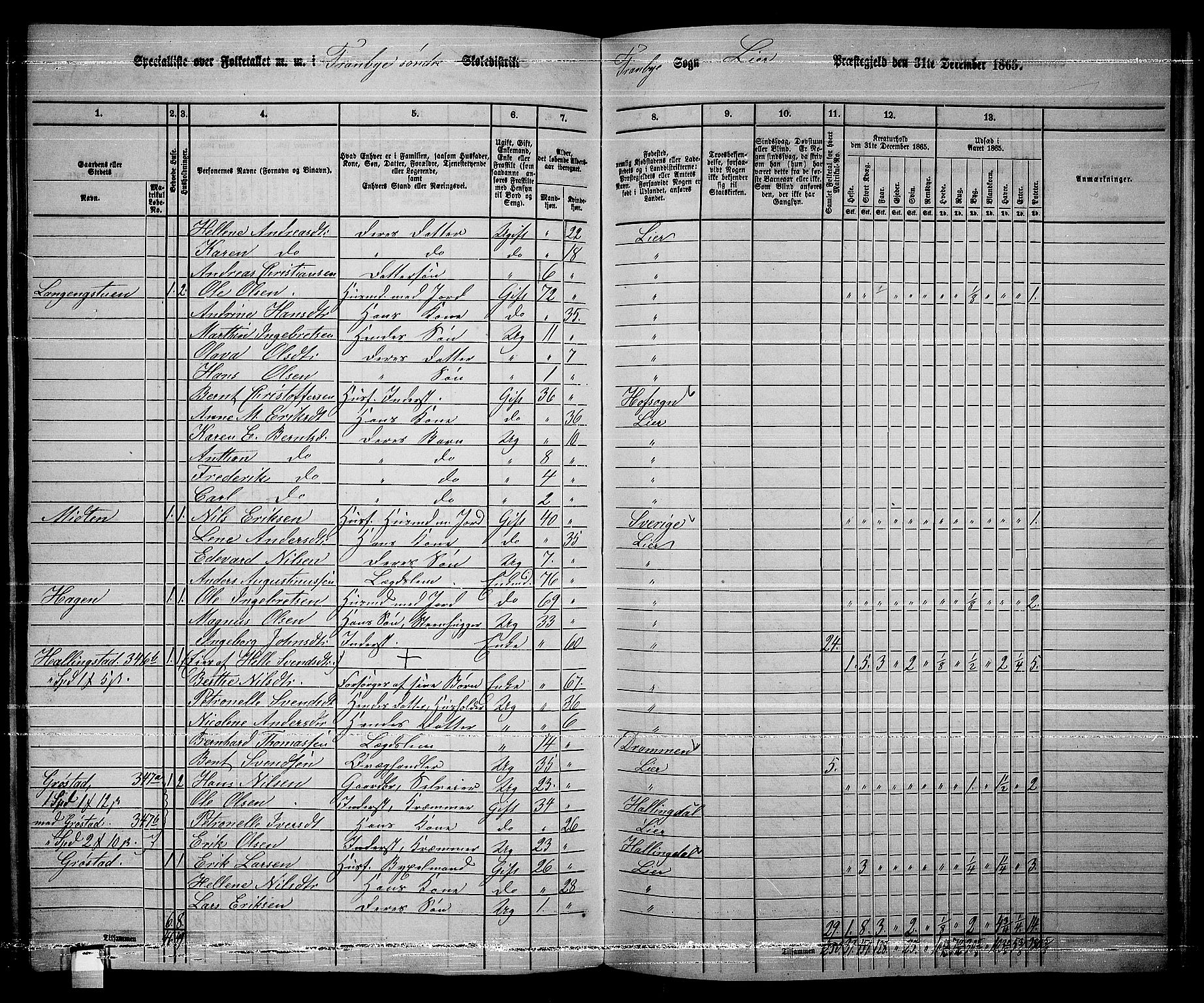 RA, 1865 census for Lier, 1865, p. 191