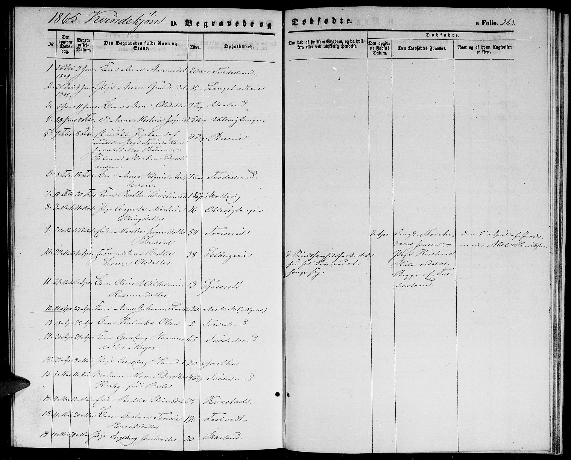 Holt sokneprestkontor, AV/SAK-1111-0021/F/Fb/L0008: Parish register (copy) no. B 8, 1858-1871, p. 265