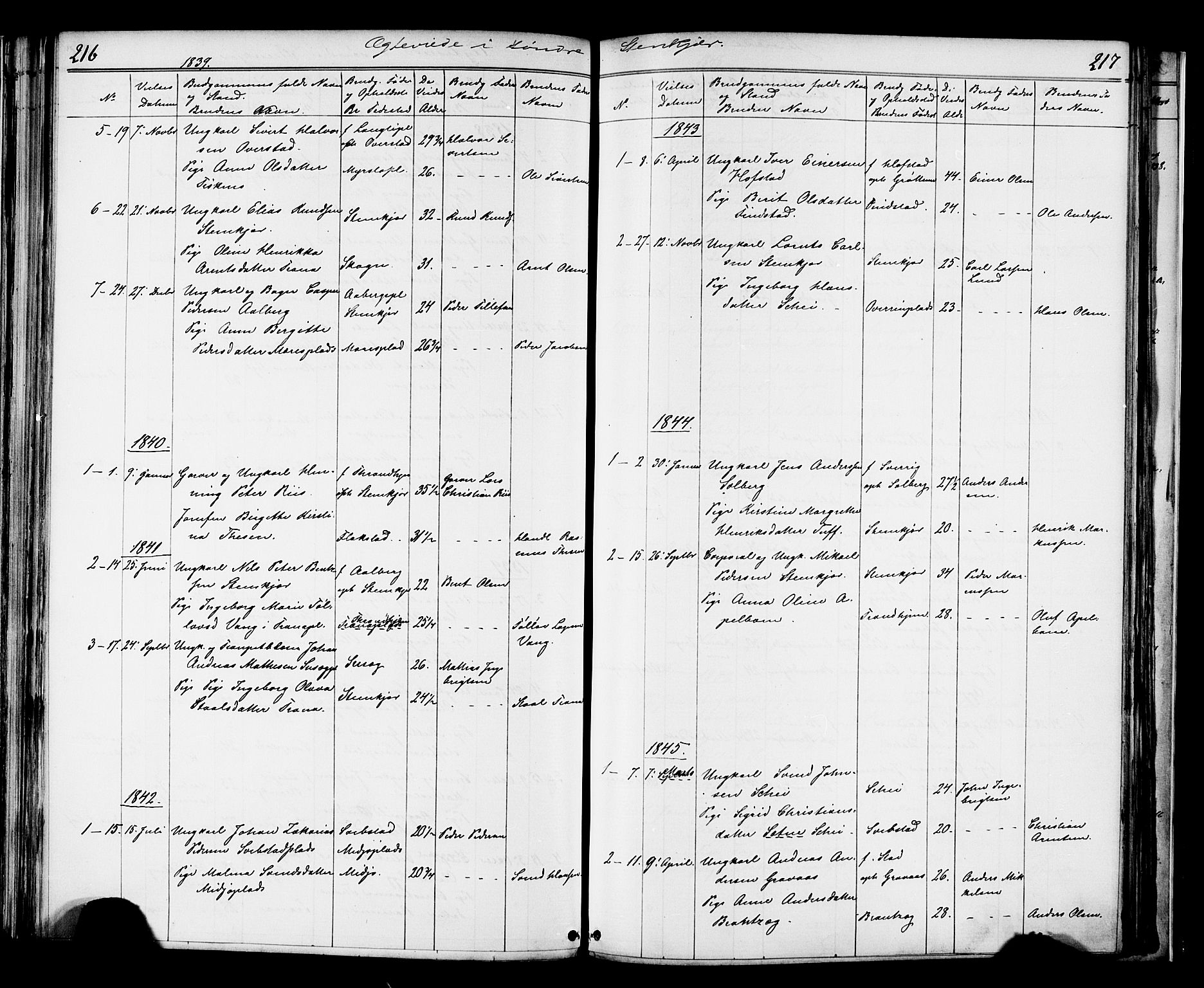 Ministerialprotokoller, klokkerbøker og fødselsregistre - Nord-Trøndelag, SAT/A-1458/739/L0367: Parish register (official) no. 739A01 /1, 1838-1868, p. 216-217