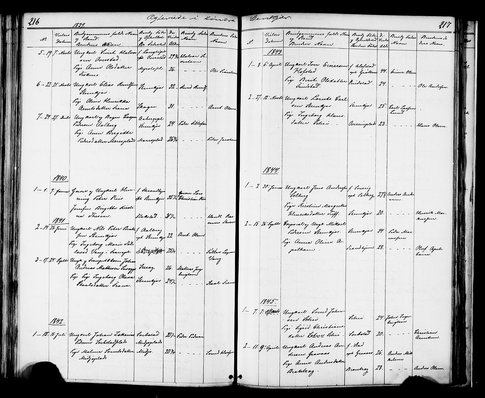 Ministerialprotokoller, klokkerbøker og fødselsregistre - Nord-Trøndelag, AV/SAT-A-1458/739/L0367: Parish register (official) no. 739A01 /1, 1838-1868, p. 216-217