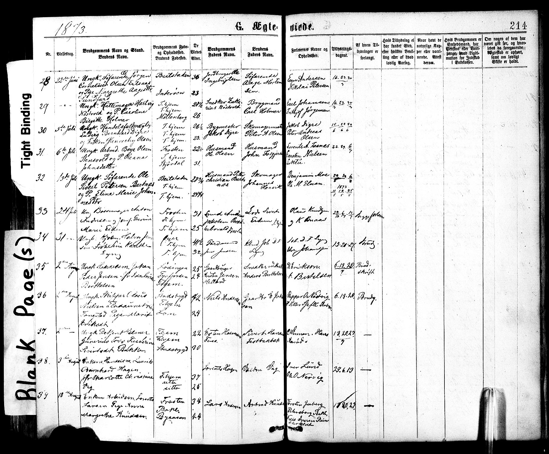 Ministerialprotokoller, klokkerbøker og fødselsregistre - Sør-Trøndelag, SAT/A-1456/602/L0118: Parish register (official) no. 602A16, 1873-1879, p. 214