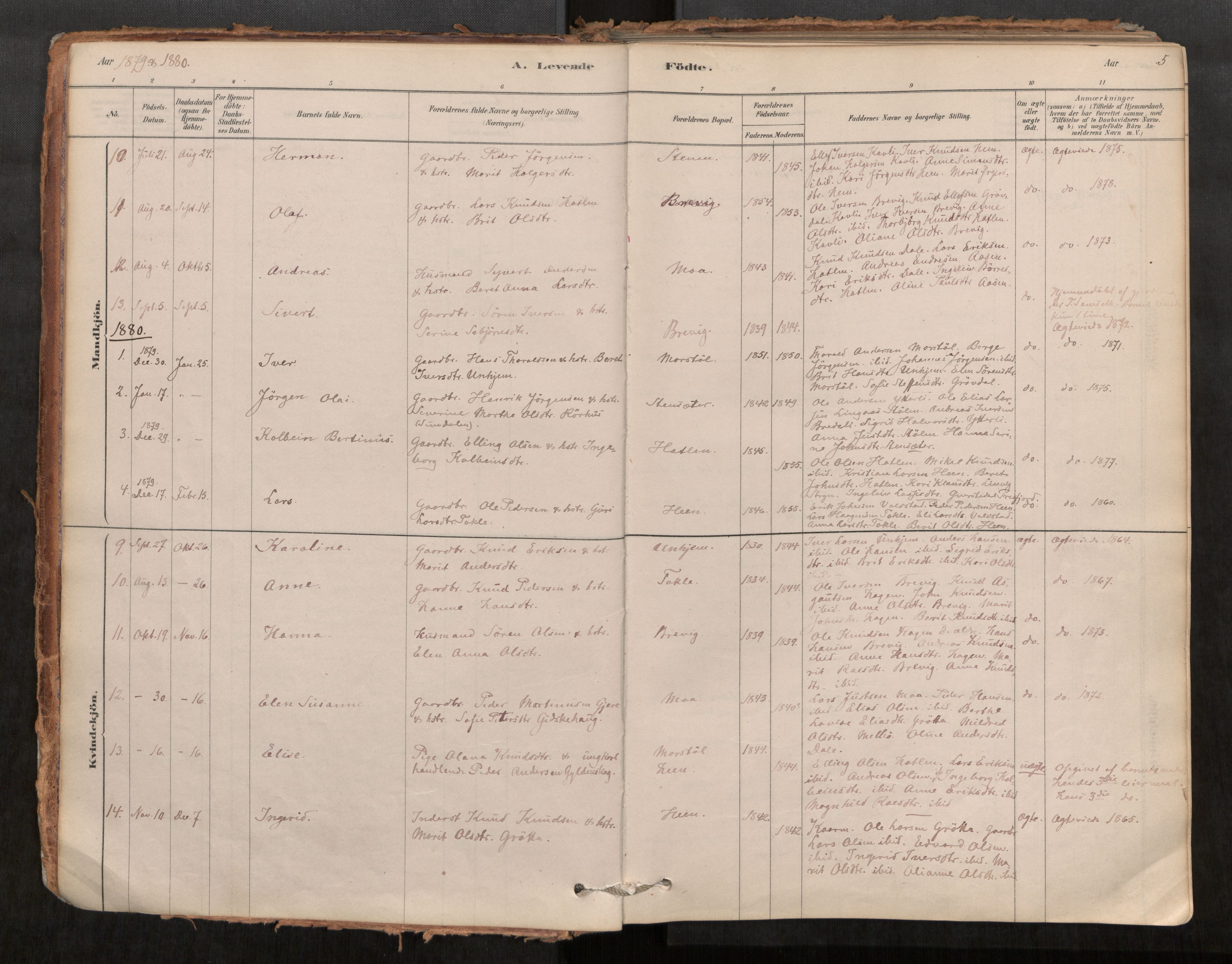 Ministerialprotokoller, klokkerbøker og fødselsregistre - Møre og Romsdal, SAT/A-1454/545/L0594: Parish register (official) no. 545A03, 1878-1920, p. 5