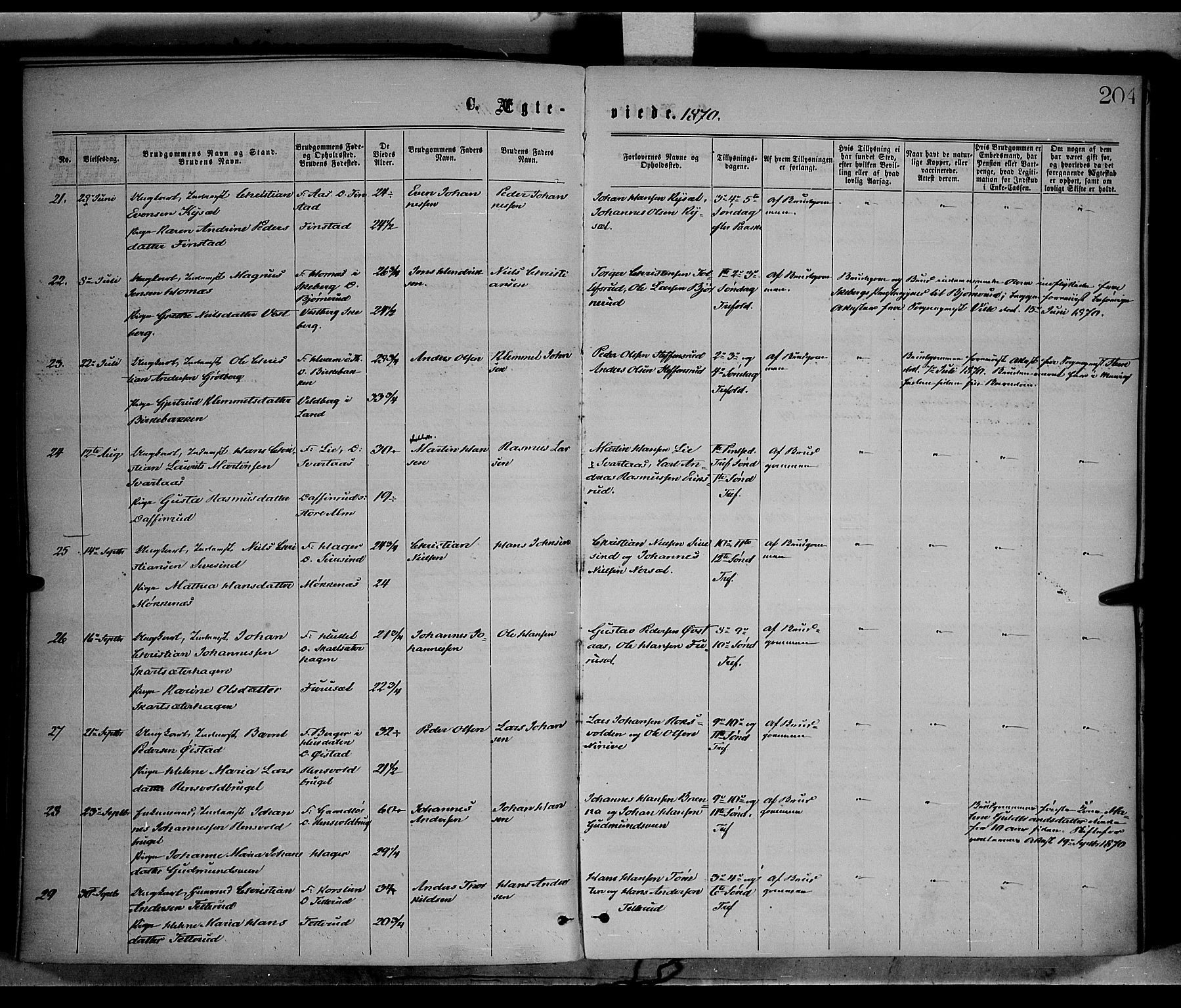 Vestre Toten prestekontor, SAH/PREST-108/H/Ha/Haa/L0008: Parish register (official) no. 8, 1870-1877, p. 204