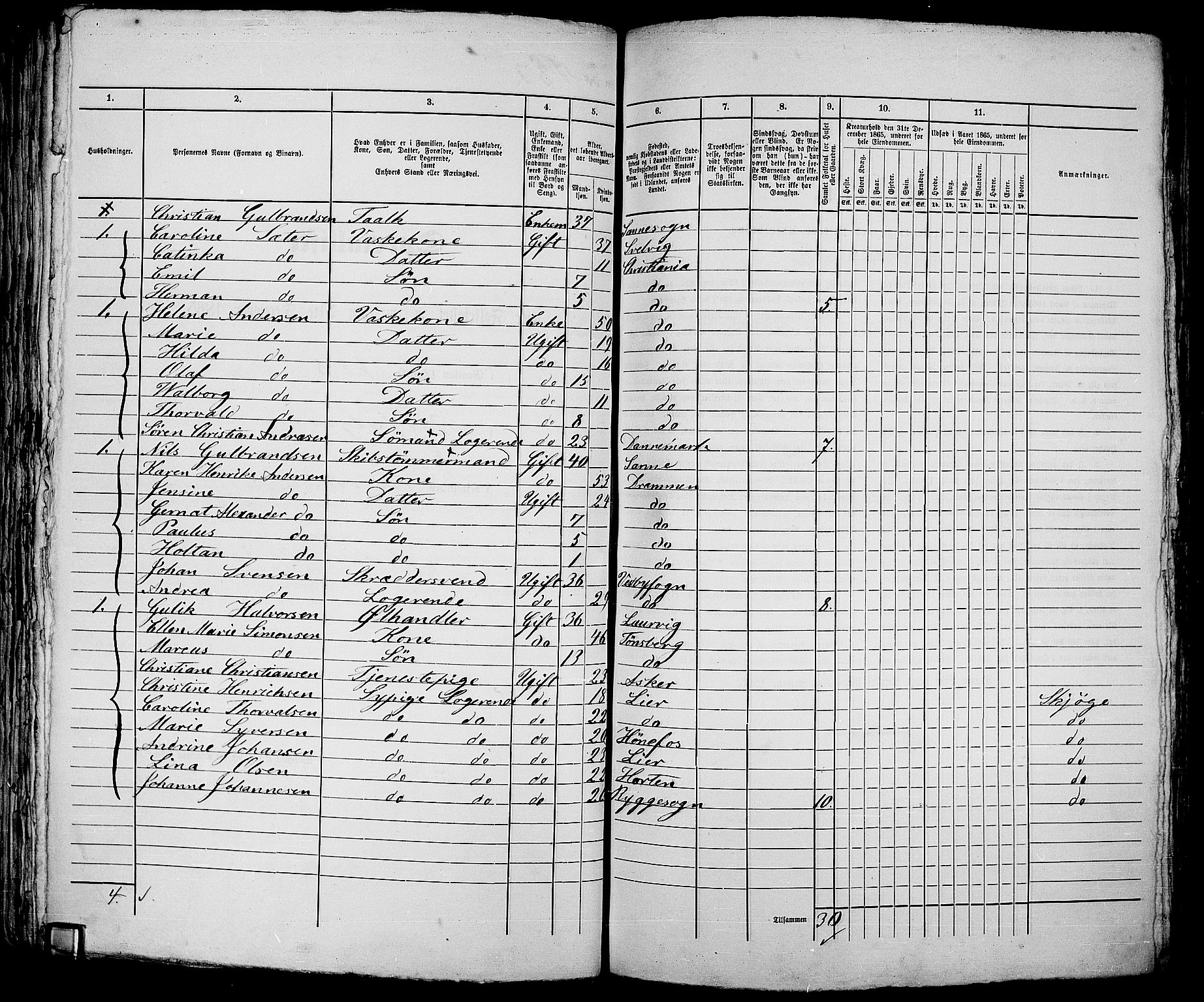 RA, 1865 census for Kristiania, 1865, p. 1313