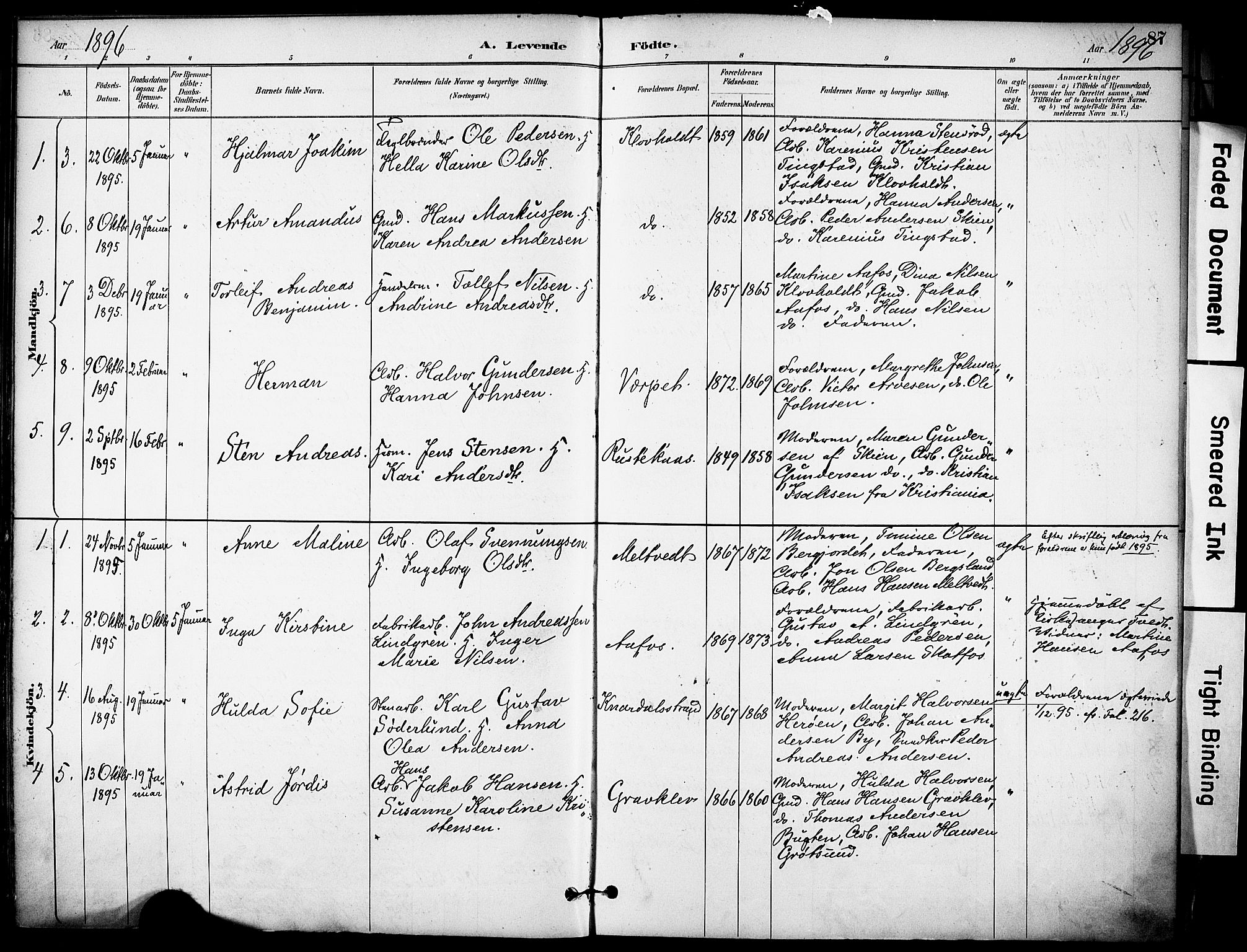 Solum kirkebøker, SAKO/A-306/F/Fa/L0010: Parish register (official) no. I 10, 1888-1898, p. 87