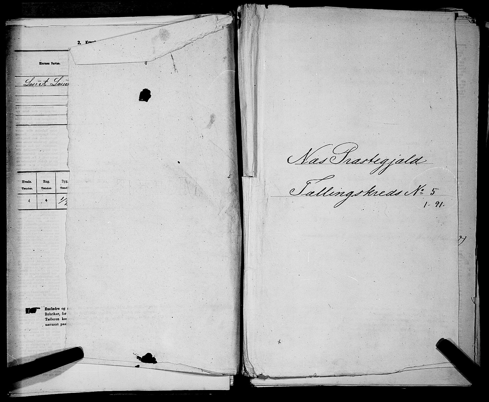 RA, 1875 census for 0236P Nes, 1875, p. 695