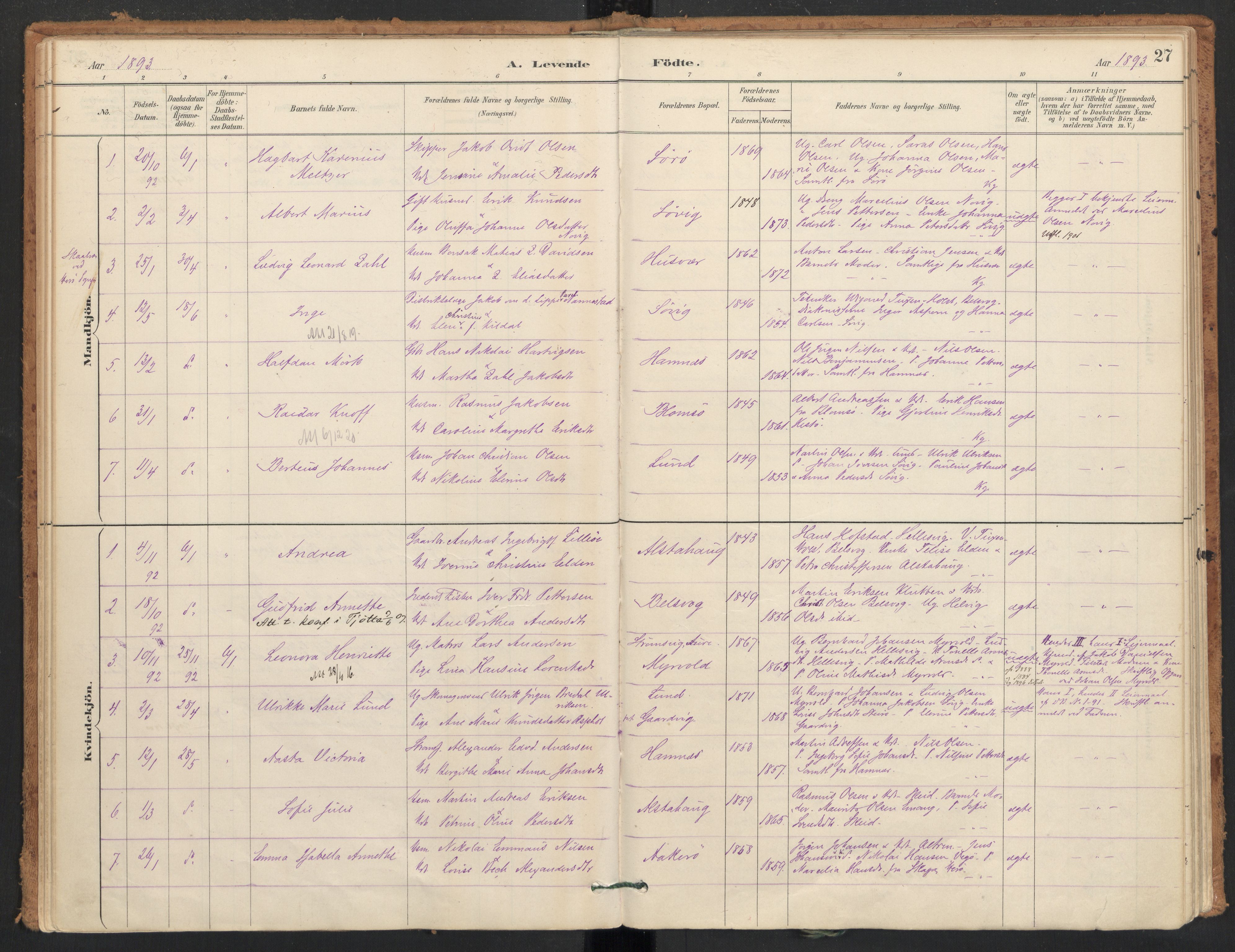 Ministerialprotokoller, klokkerbøker og fødselsregistre - Nordland, SAT/A-1459/830/L0453: Parish register (official) no. 830A17, 1886-1911, p. 27