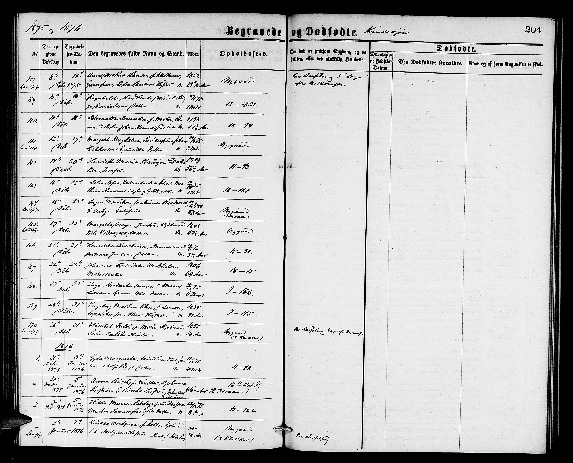 Domkirken sokneprestembete, SAB/A-74801/H/Hab/L0040: Parish register (copy) no. E 4, 1868-1877, p. 204
