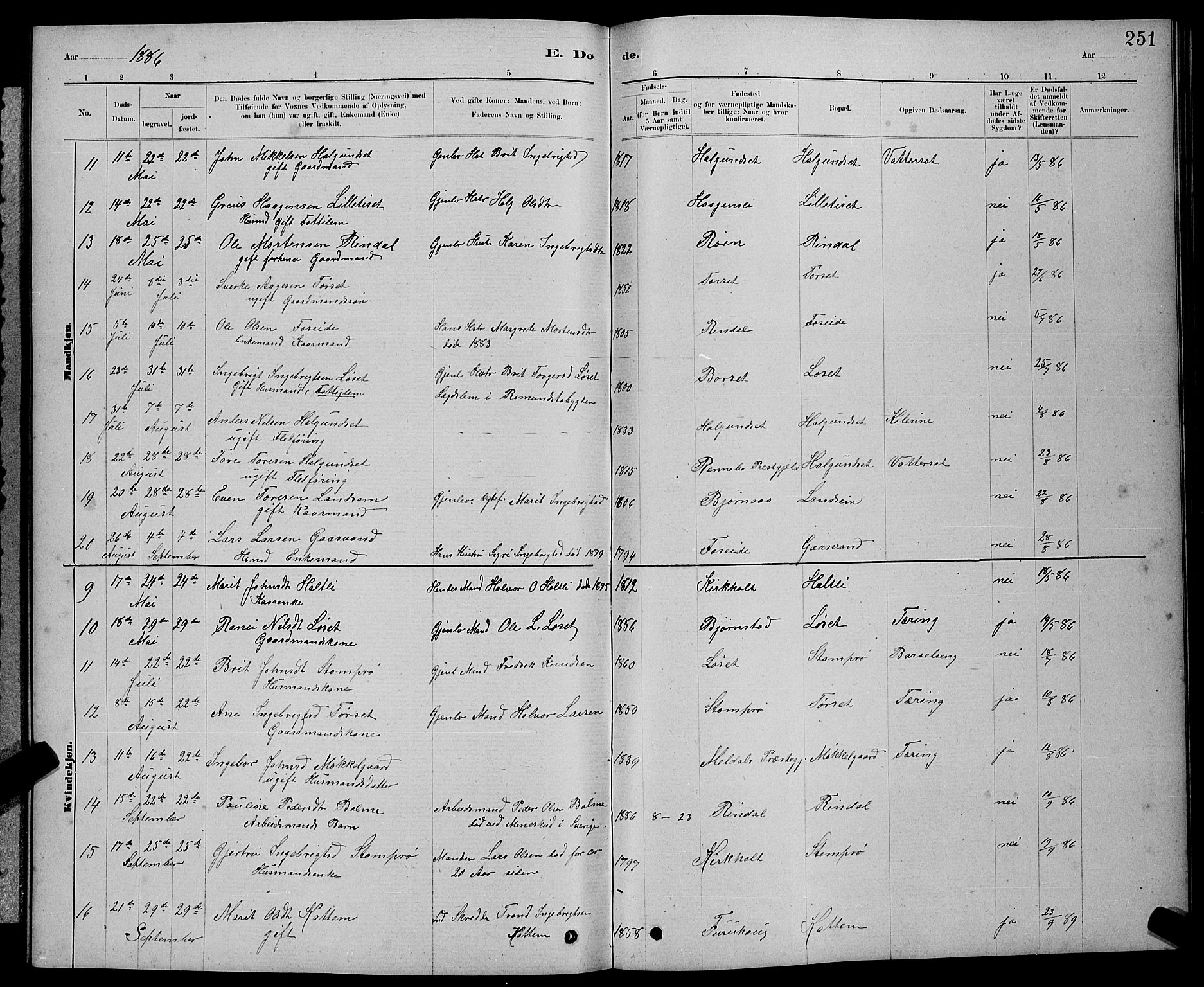 Ministerialprotokoller, klokkerbøker og fødselsregistre - Møre og Romsdal, AV/SAT-A-1454/598/L1077: Parish register (copy) no. 598C02, 1879-1891, p. 251