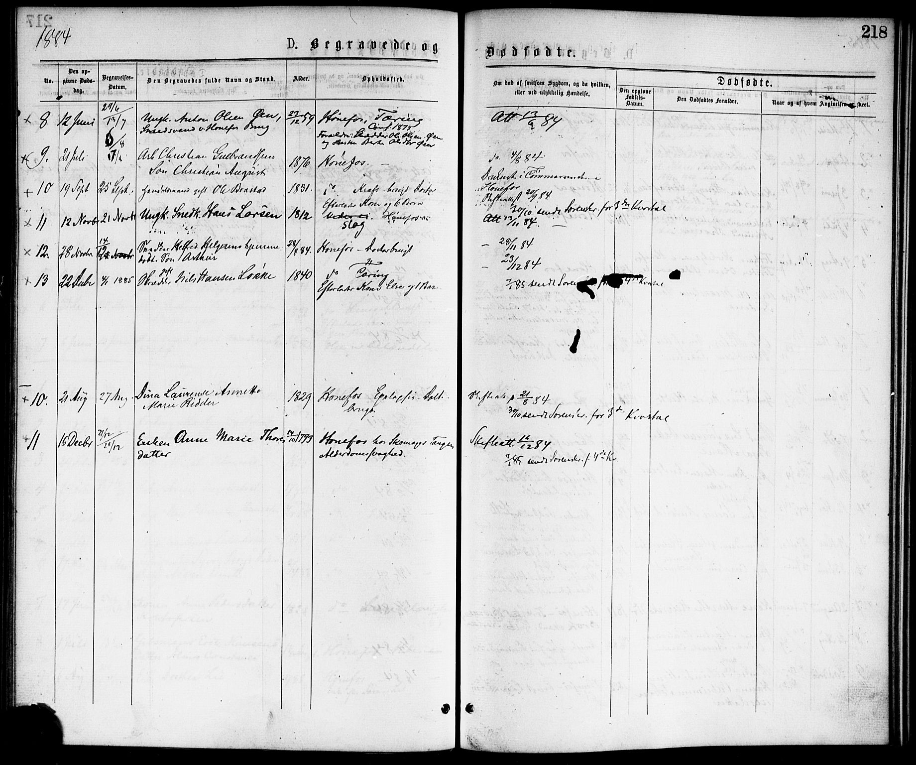 Hønefoss kirkebøker, AV/SAKO-A-609/F/Fa/L0001: Parish register (official) no. 1, 1875-1887, p. 218