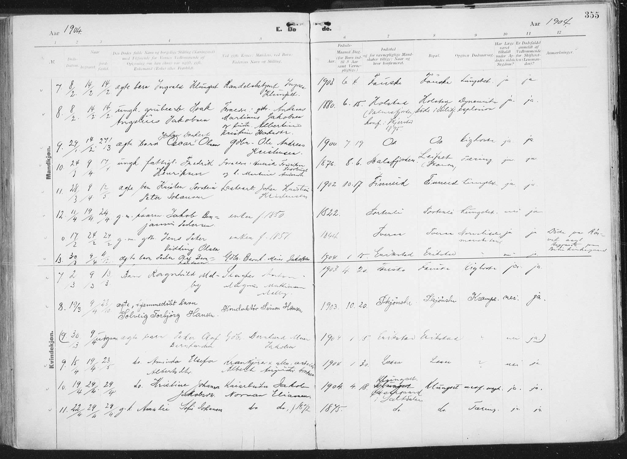 Ministerialprotokoller, klokkerbøker og fødselsregistre - Nordland, AV/SAT-A-1459/849/L0696: Parish register (official) no. 849A08, 1898-1910, p. 355