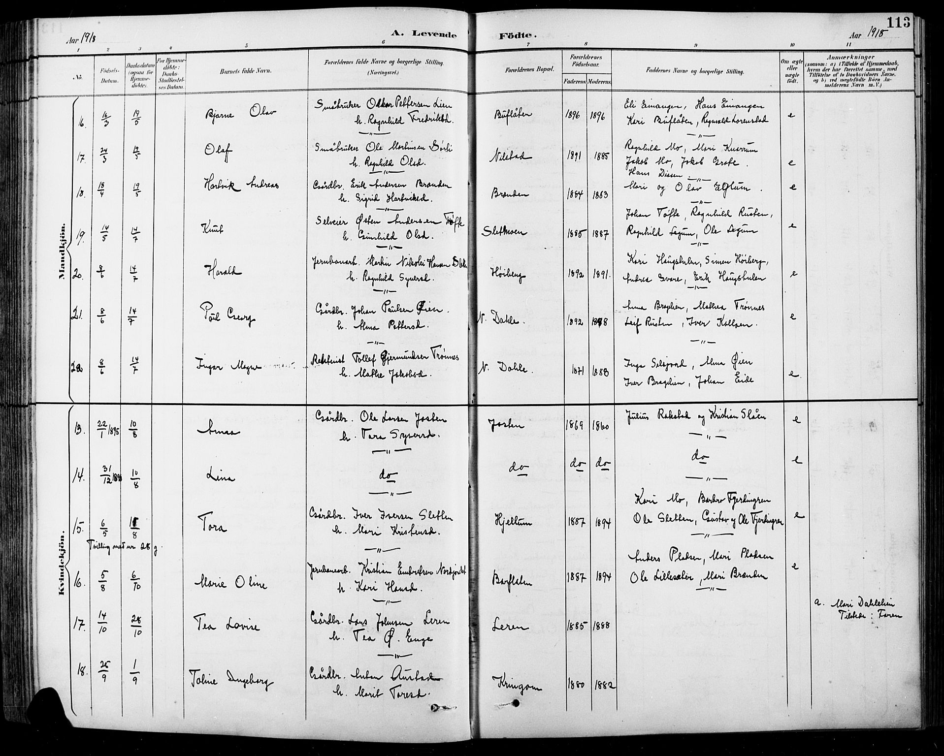 Sel prestekontor, AV/SAH-PREST-074/H/Ha/Hab/L0001: Parish register (copy) no. 1, 1894-1923, p. 113