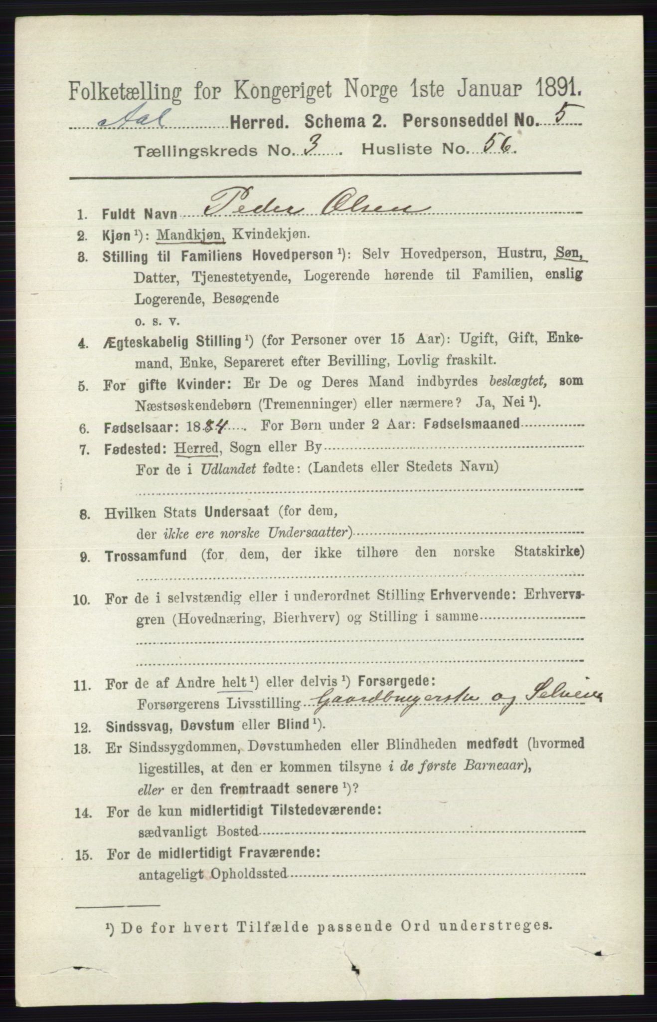 RA, 1891 census for 0619 Ål, 1891, p. 976