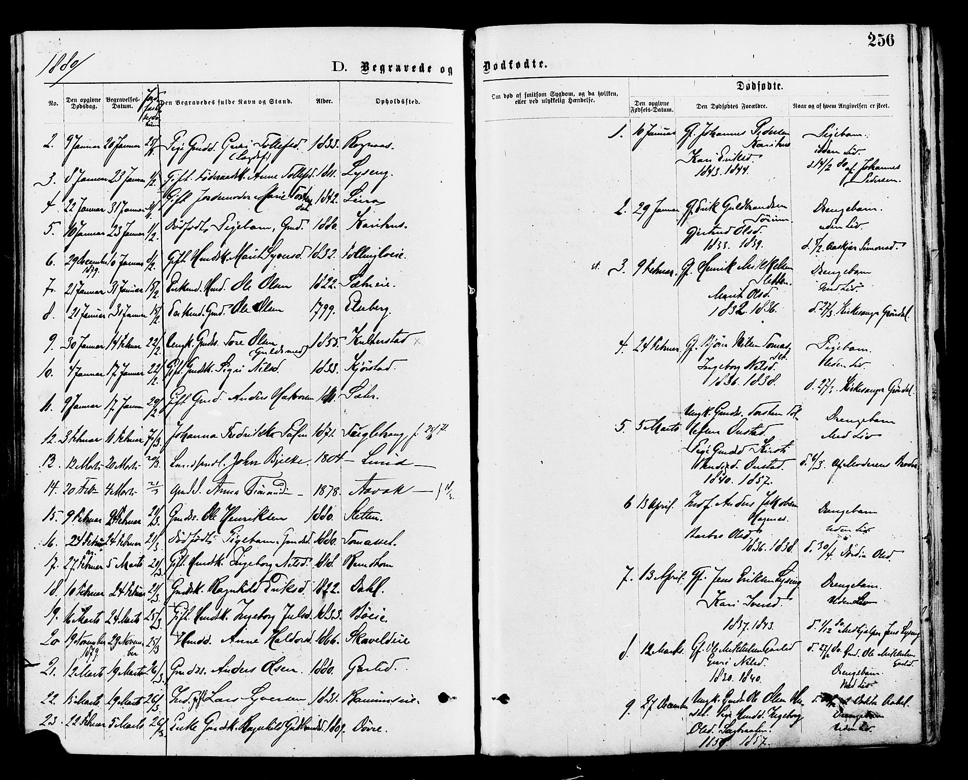 Nord-Aurdal prestekontor, SAH/PREST-132/H/Ha/Haa/L0009: Parish register (official) no. 9, 1876-1882, p. 256